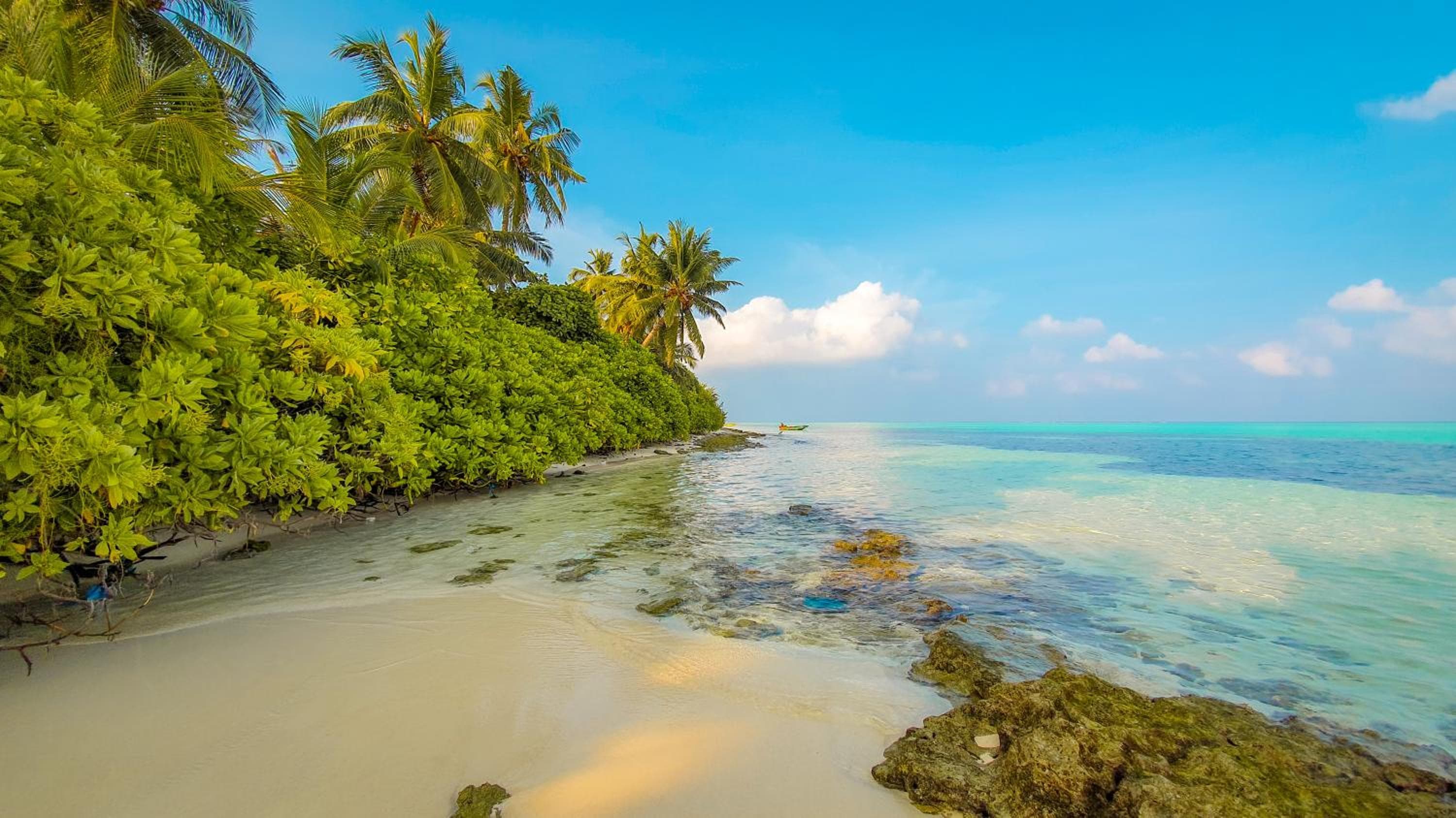 New Breeze Thoddoo Inn - View 61