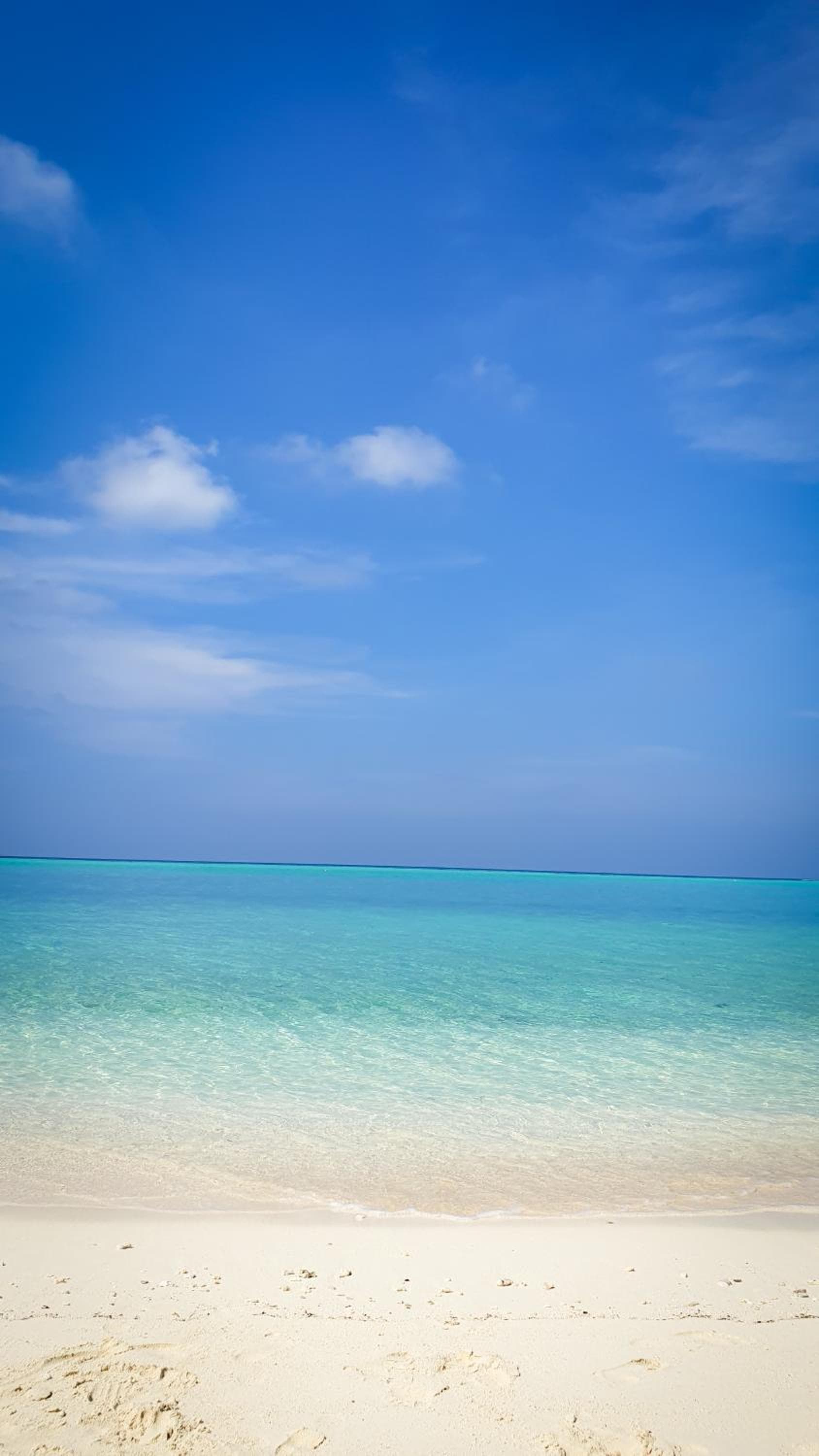 New Breeze Thoddoo Inn - View 68