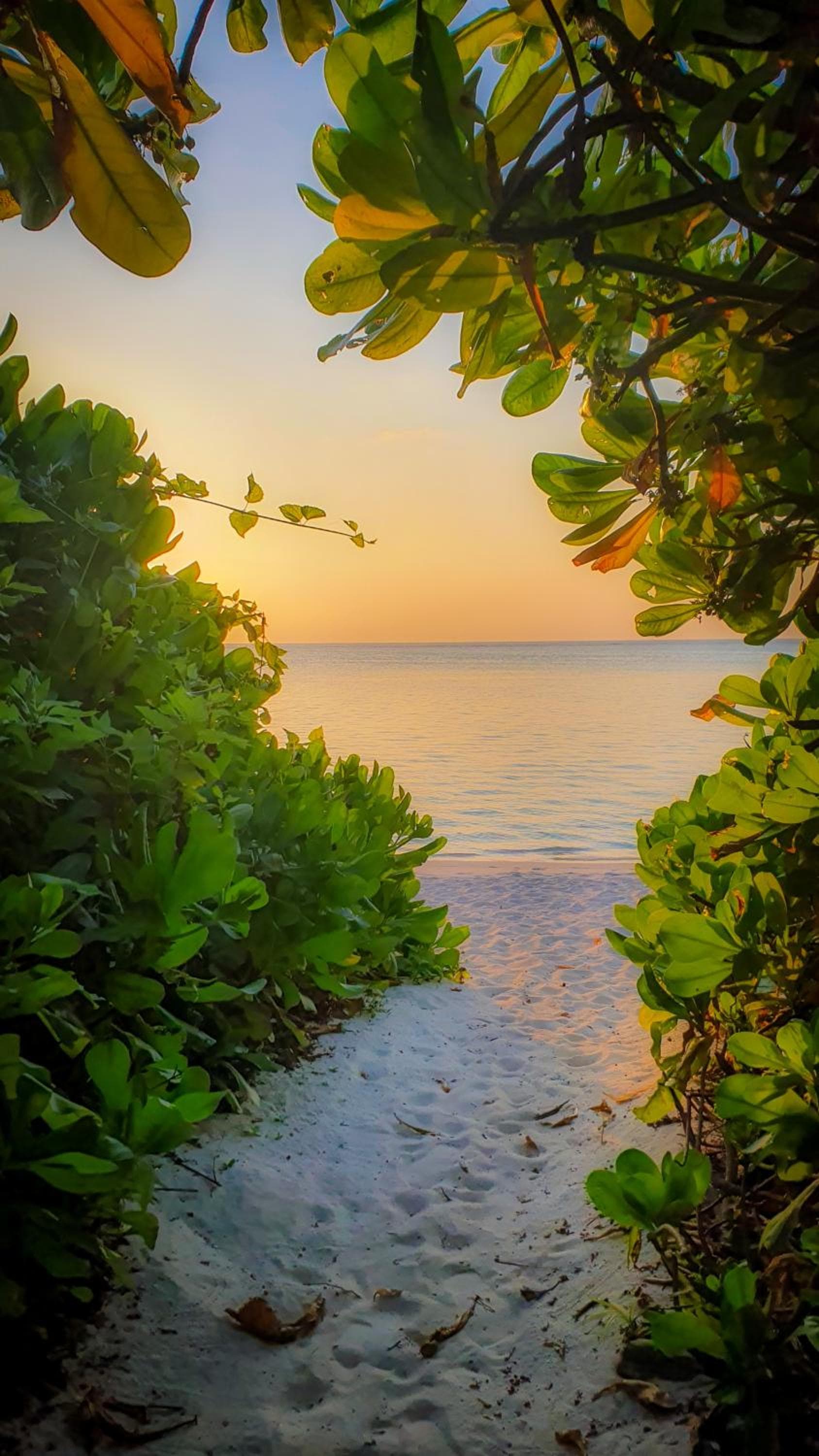 New Breeze Thoddoo Inn - View 67