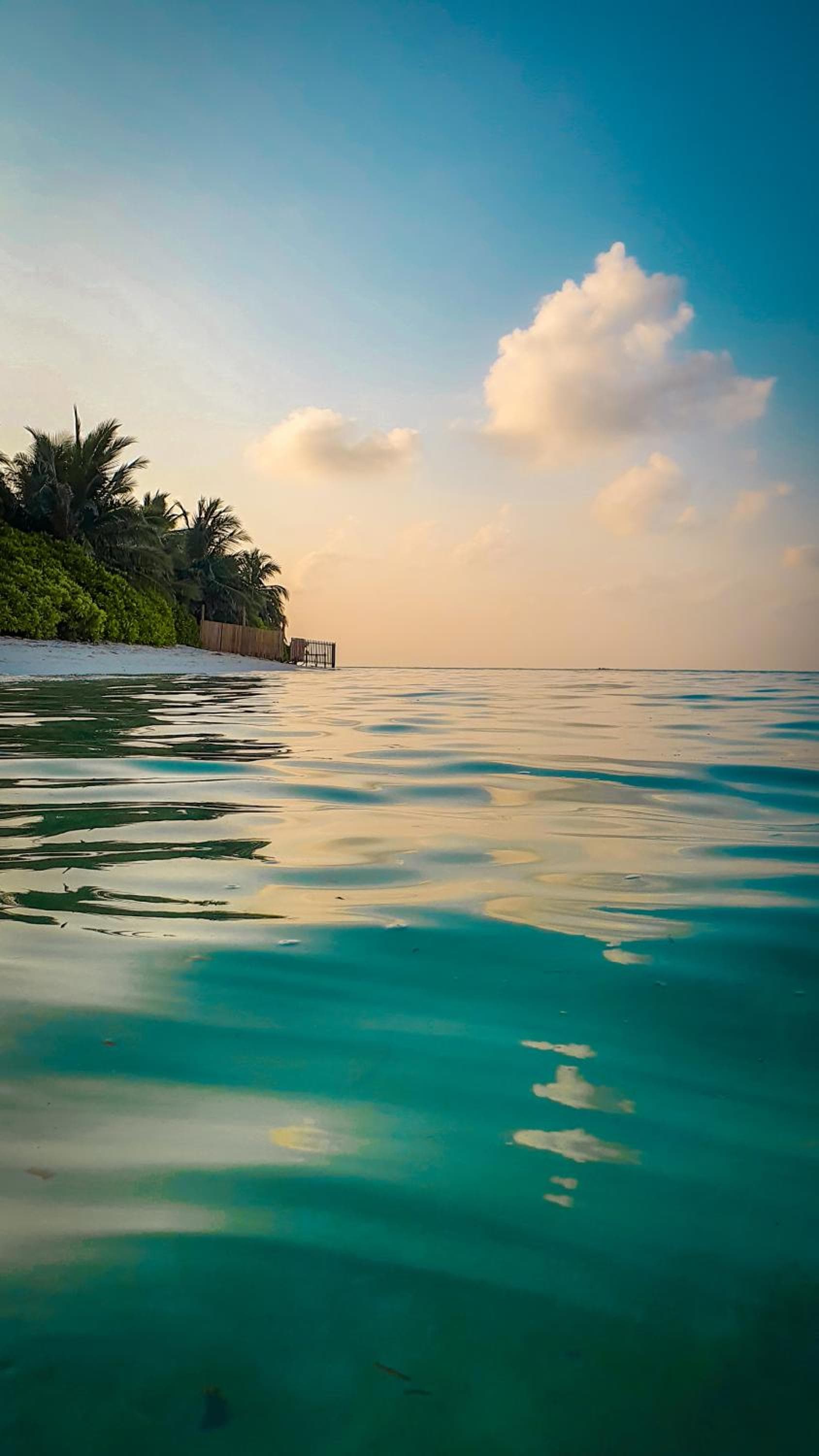 New Breeze Thoddoo Inn - View 66