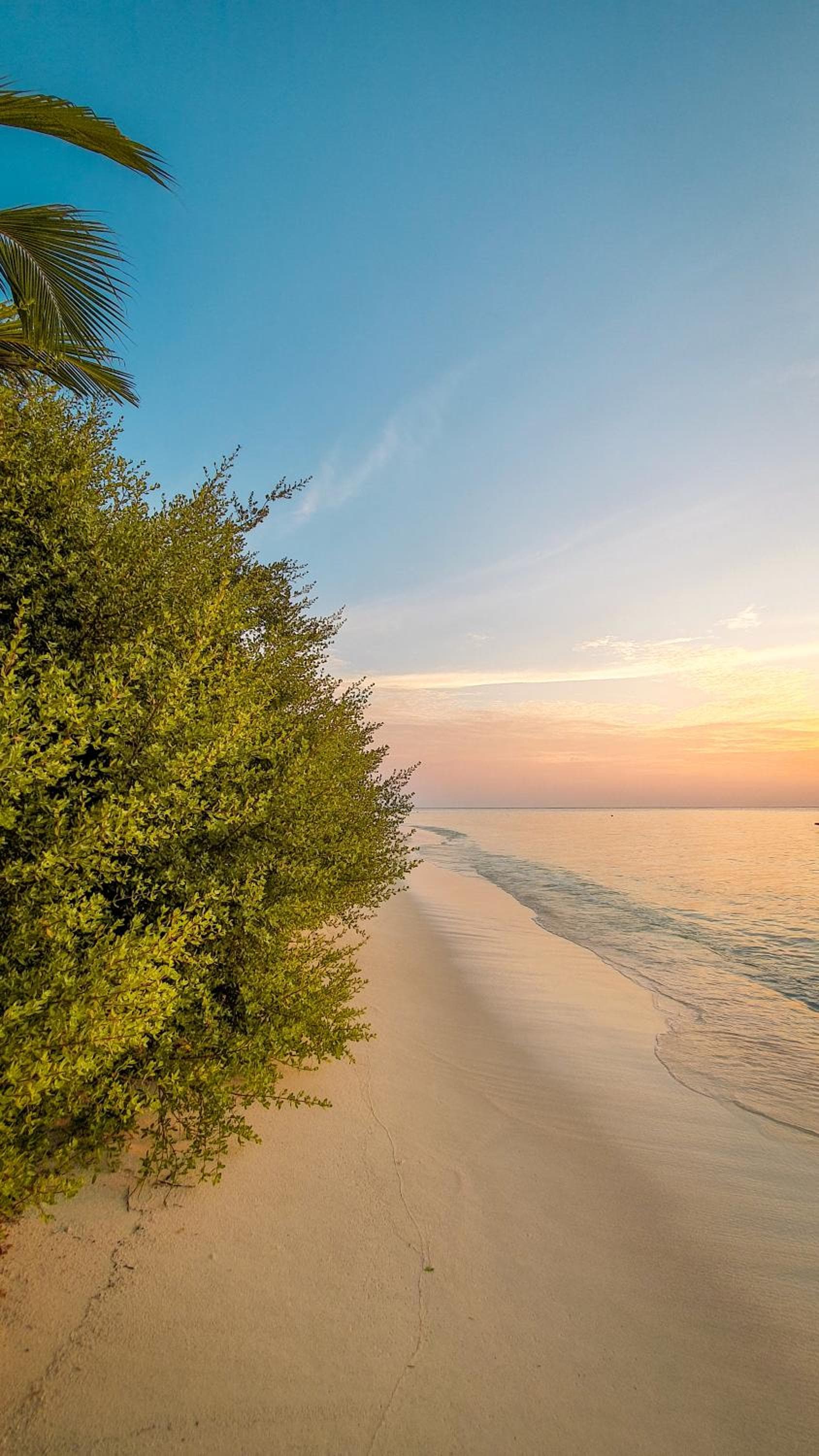 New Breeze Thoddoo Inn - View 65