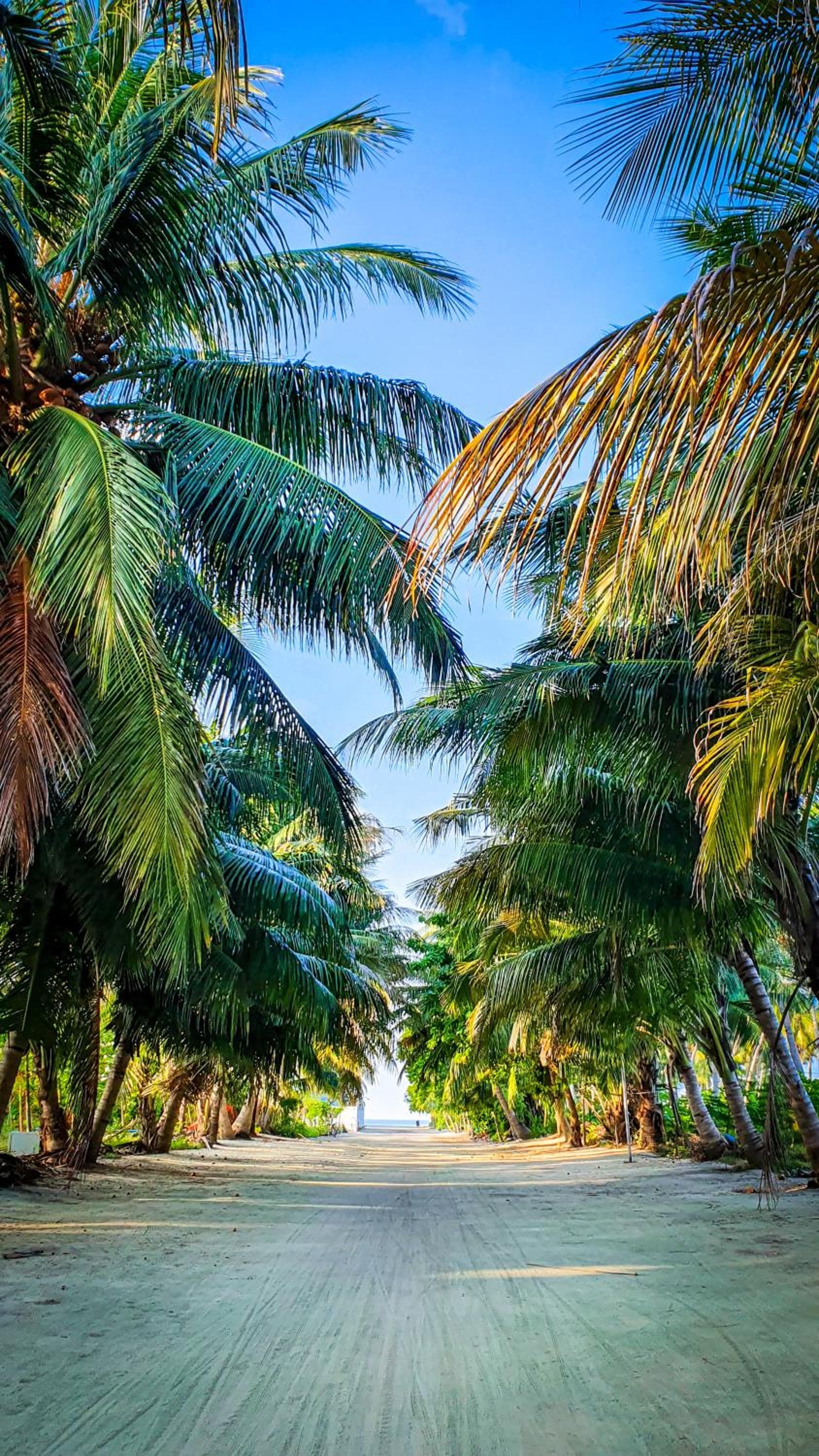 New Breeze Thoddoo Inn - View 64