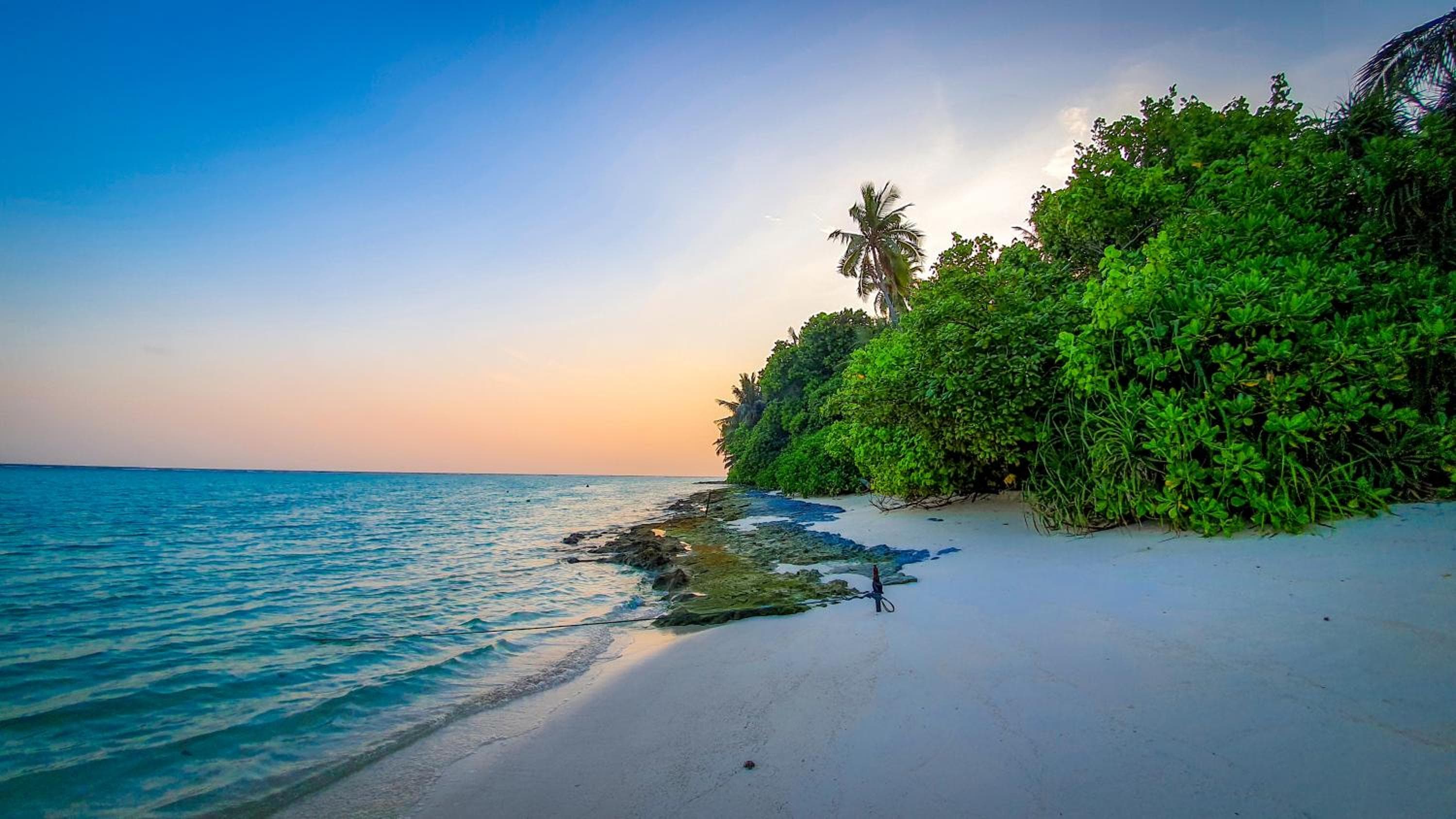 New Breeze Thoddoo Inn - View 63