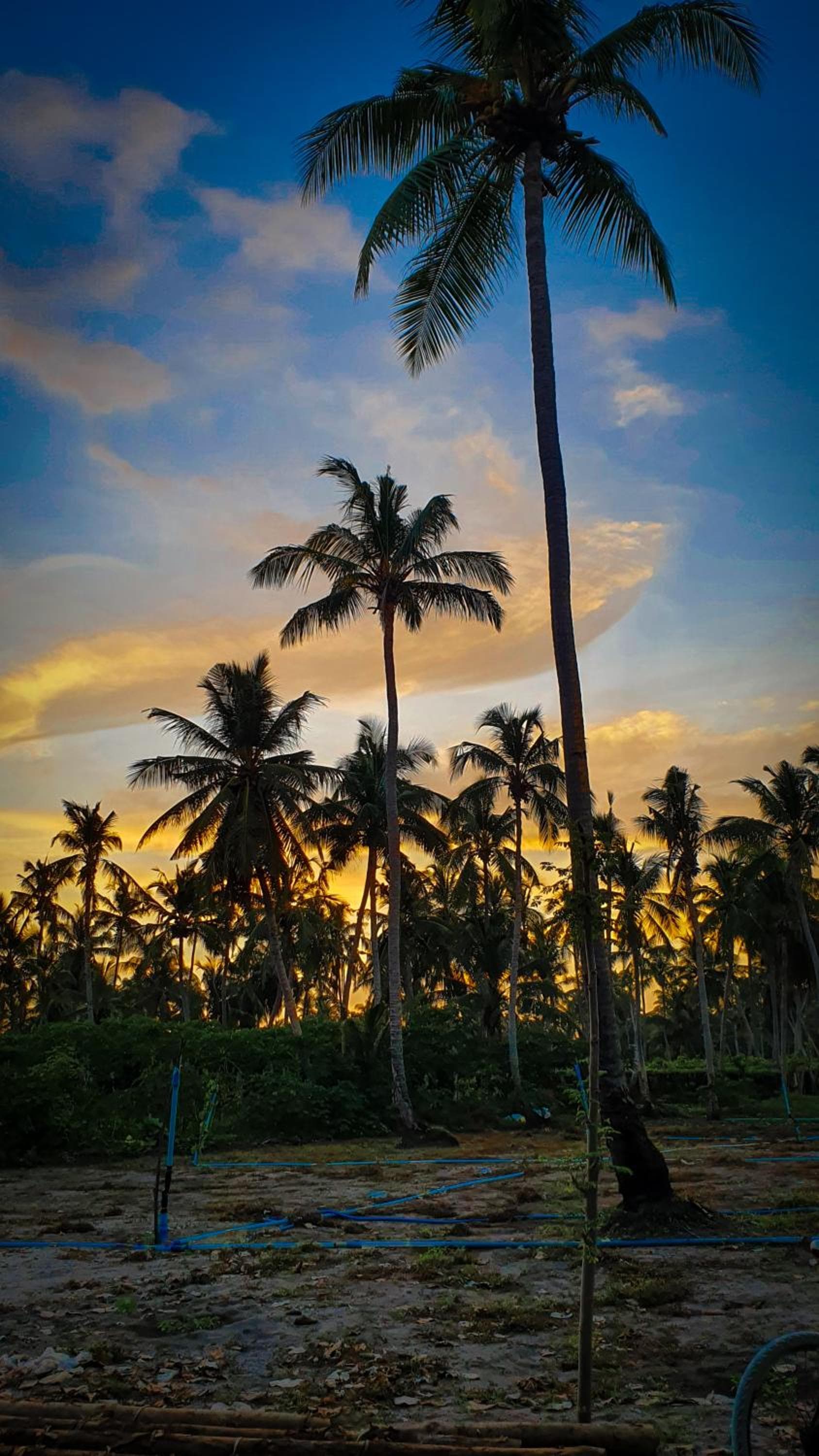 New Breeze Thoddoo Inn - View 73