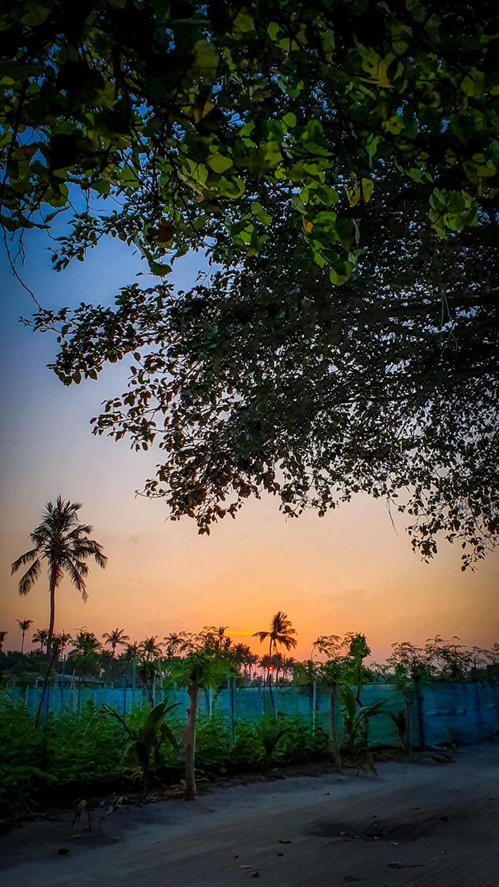 New Breeze Thoddoo Inn - View 71