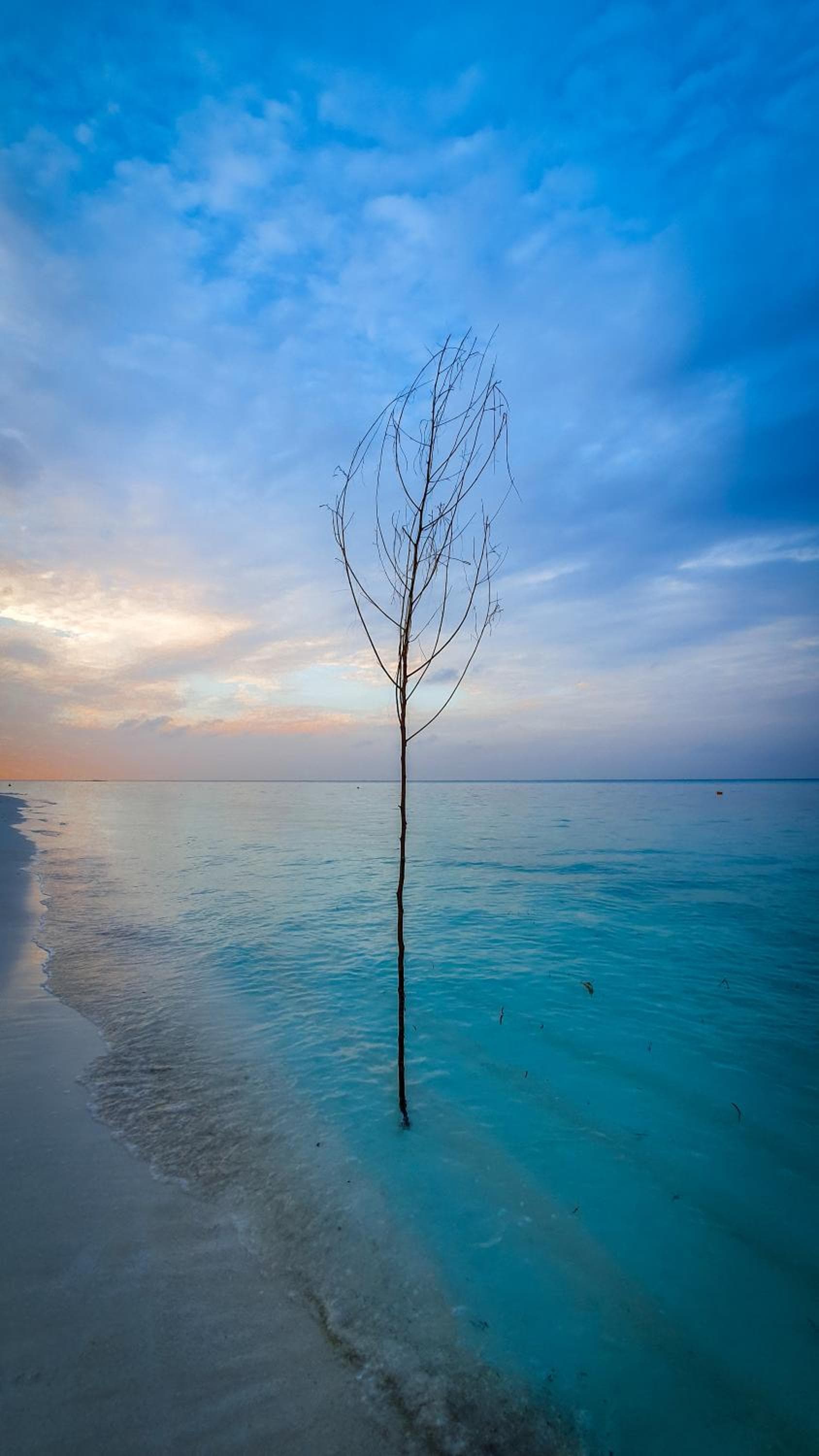 New Breeze Thoddoo Inn - View 70