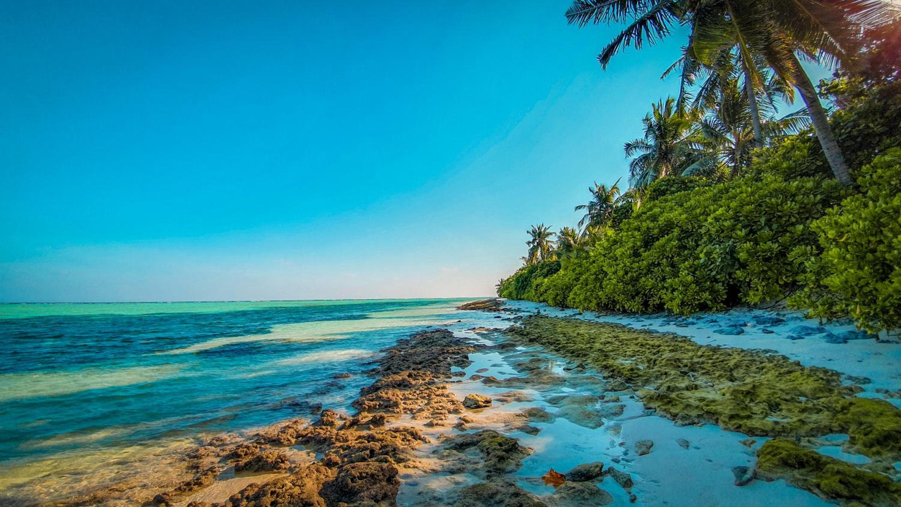 New Breeze Thoddoo Inn - View 74