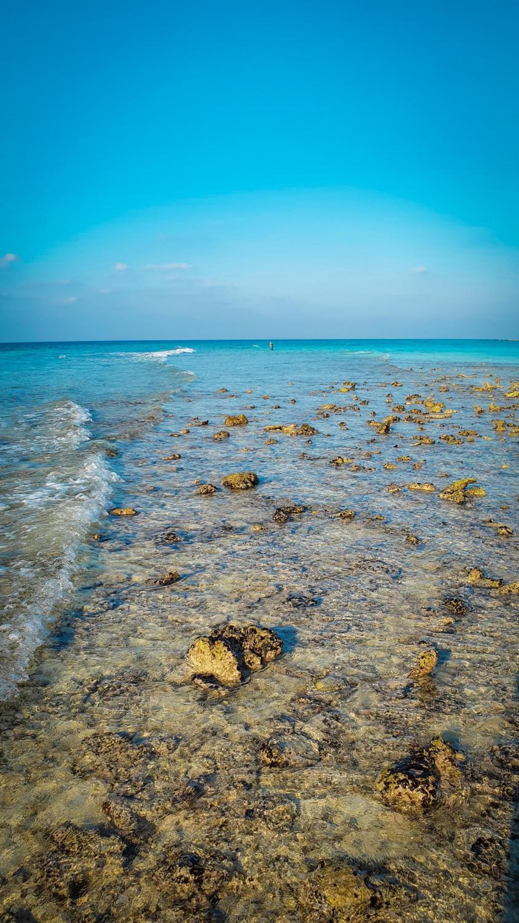 New Breeze Thoddoo Inn - View 69