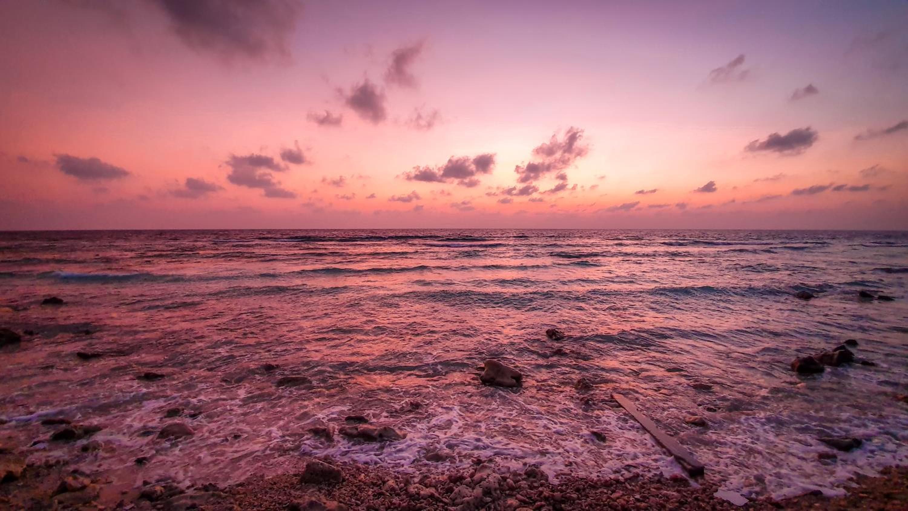 New Breeze Thoddoo Inn - View 82