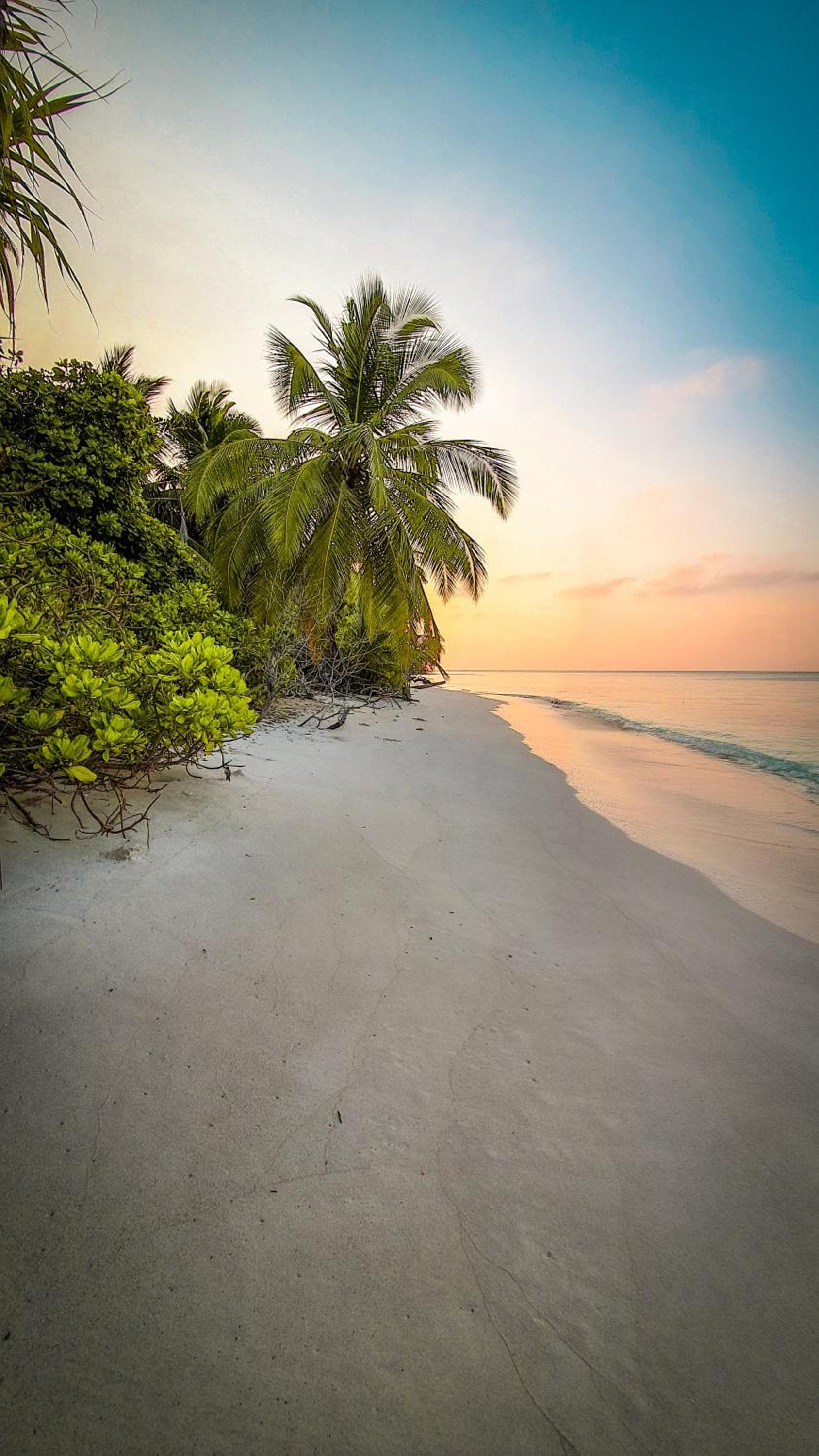 New Breeze Thoddoo Inn - View 79