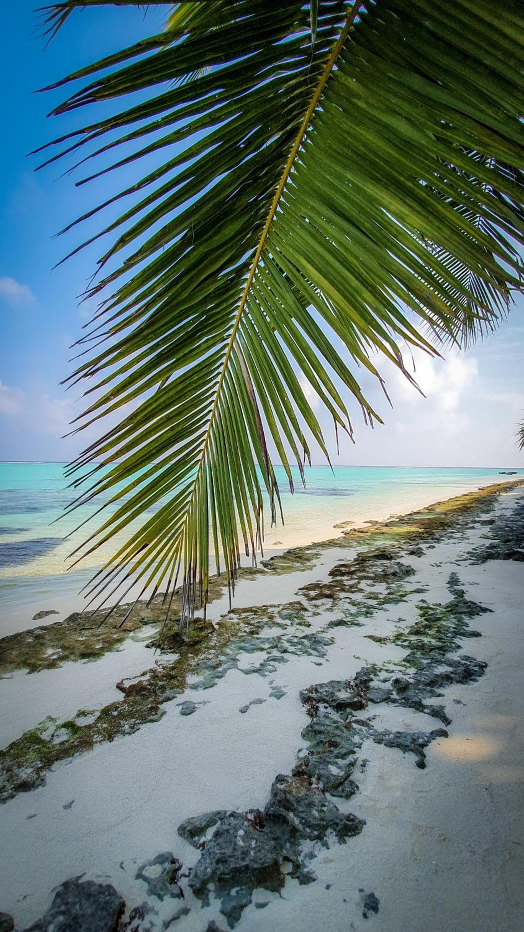 New Breeze Thoddoo Inn - View 76