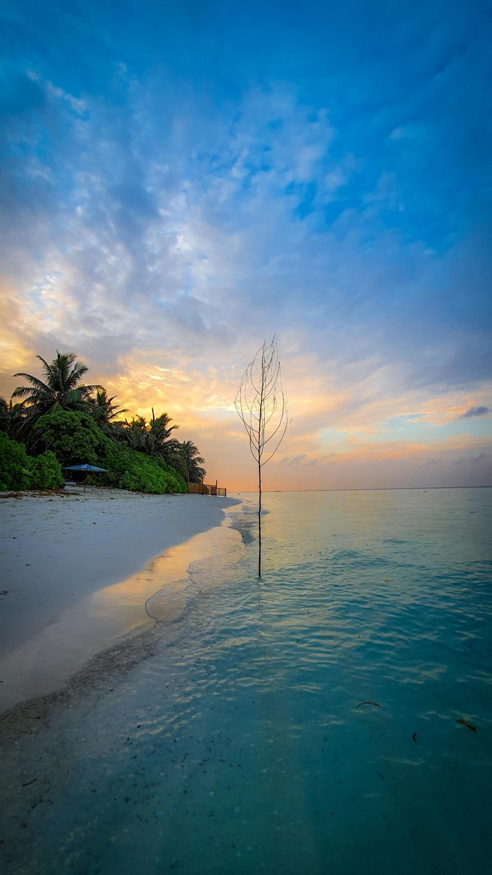 New Breeze Thoddoo Inn - View 84