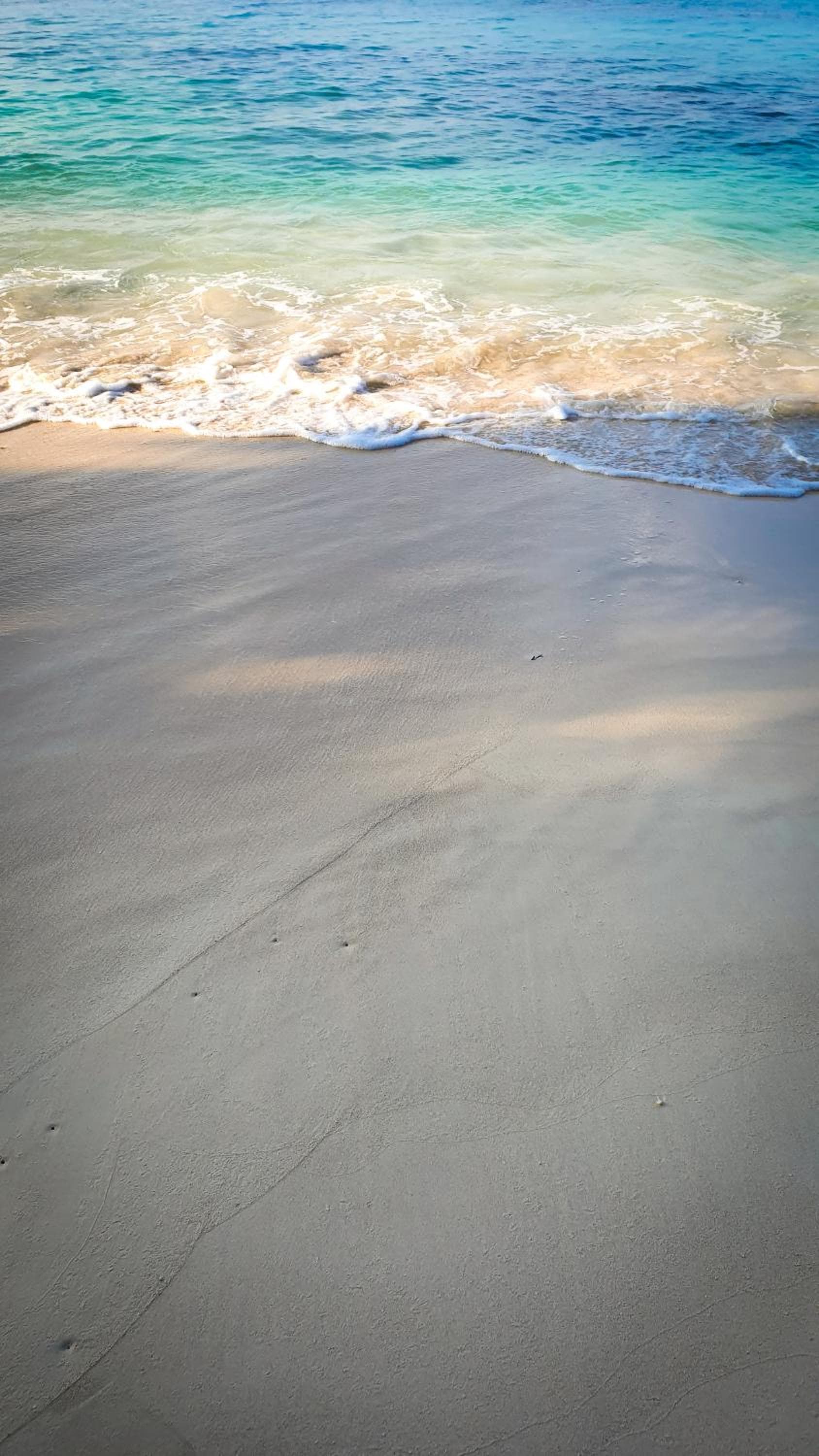 New Breeze Thoddoo Inn - View 83