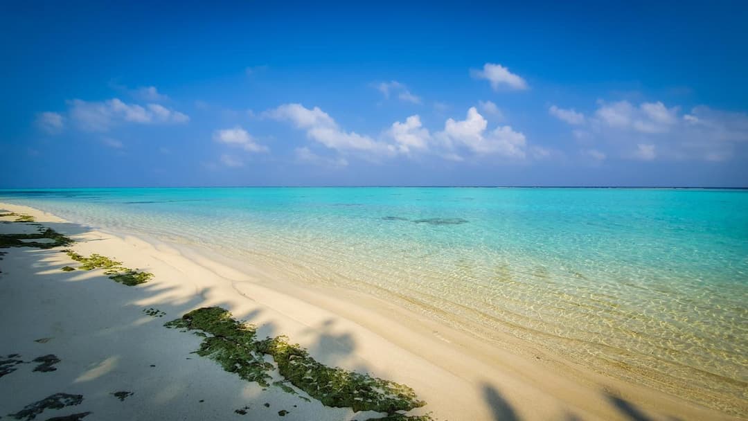 New Breeze Thoddoo Inn - View 54