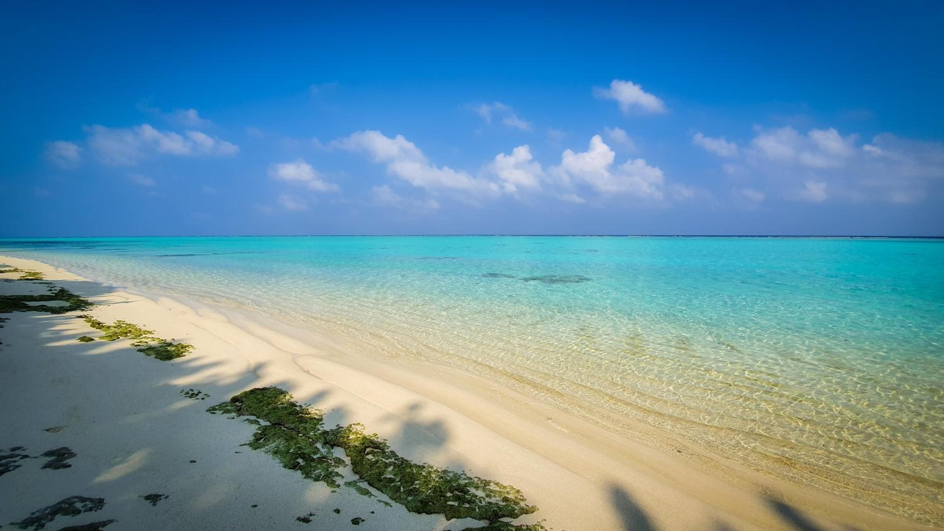 New Breeze Thoddoo Inn - View 81