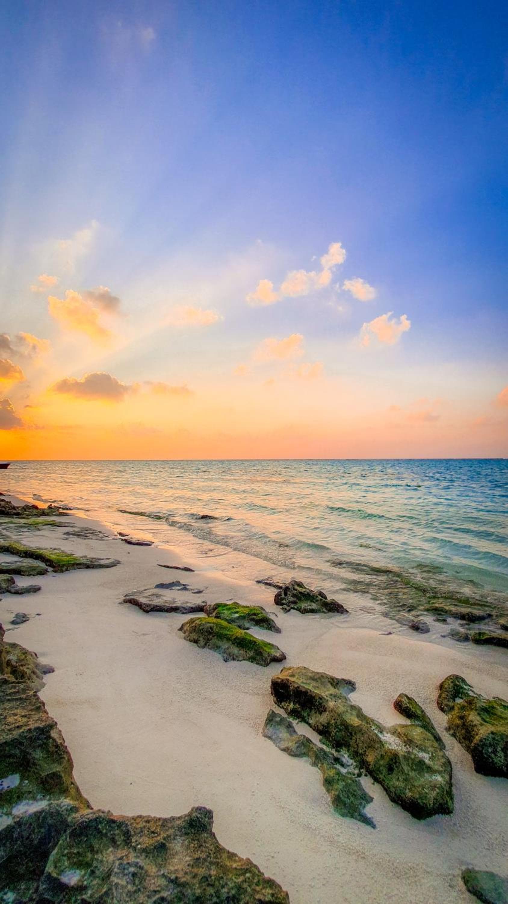 New Breeze Thoddoo Inn - View 85