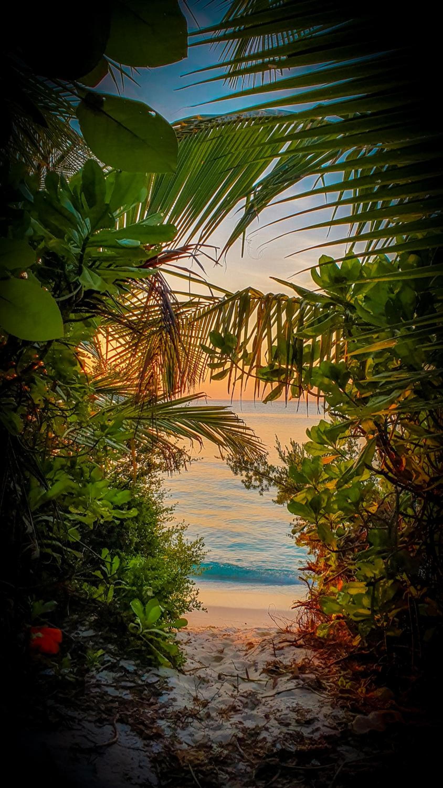 New Breeze Thoddoo Inn - View 87