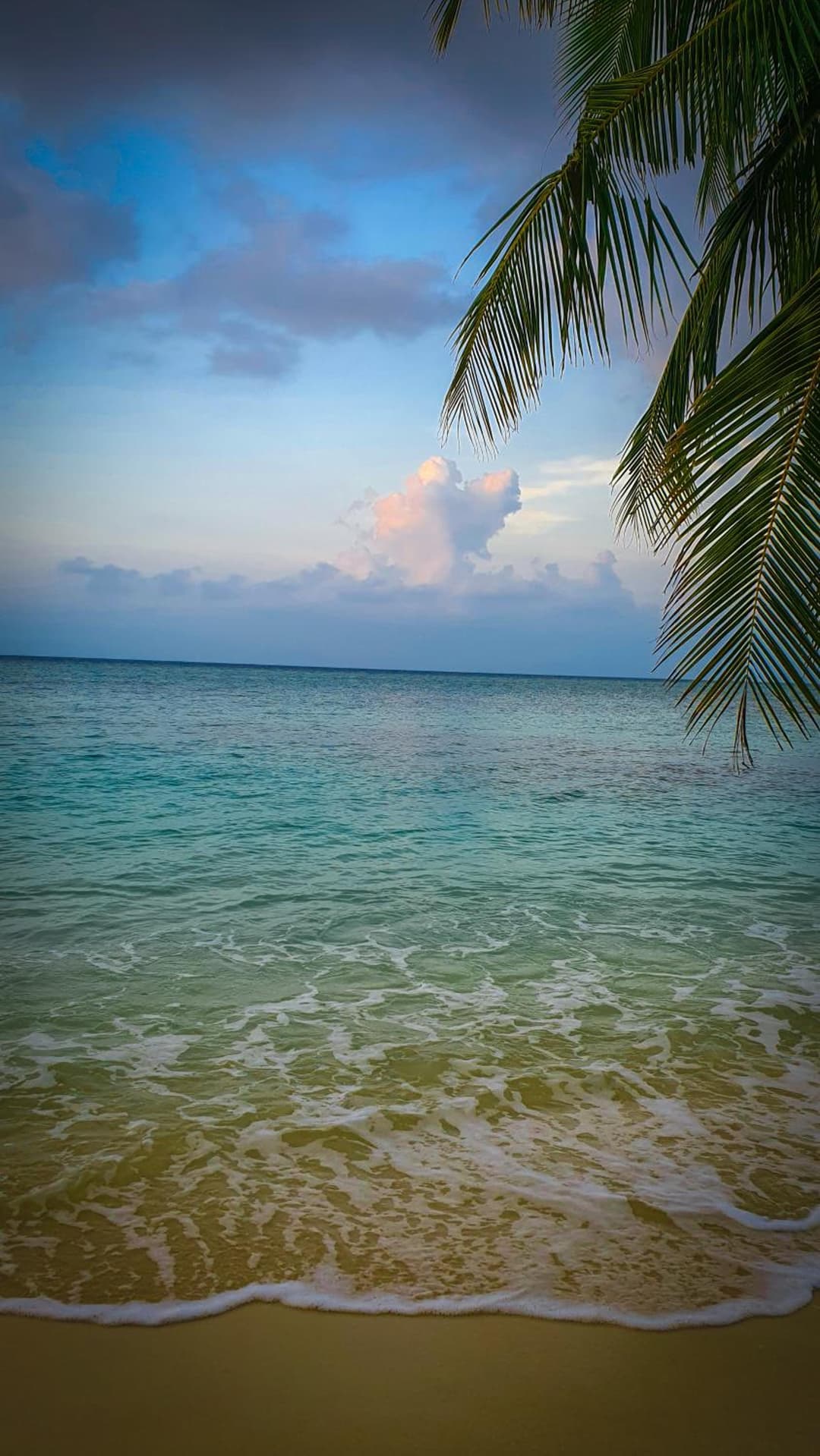 New Breeze Thoddoo Inn - View 52