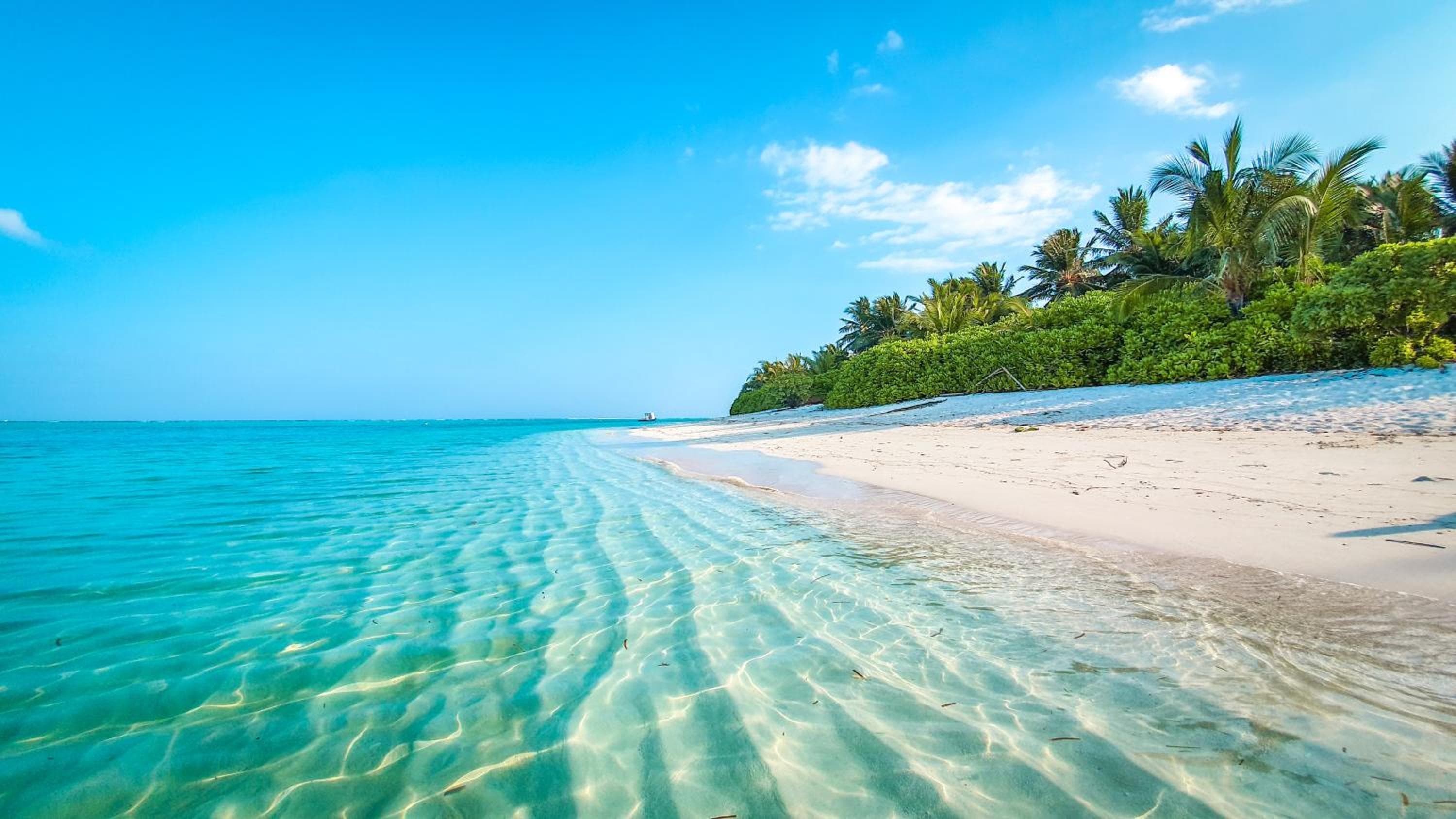 New Breeze Thoddoo Inn - View 90