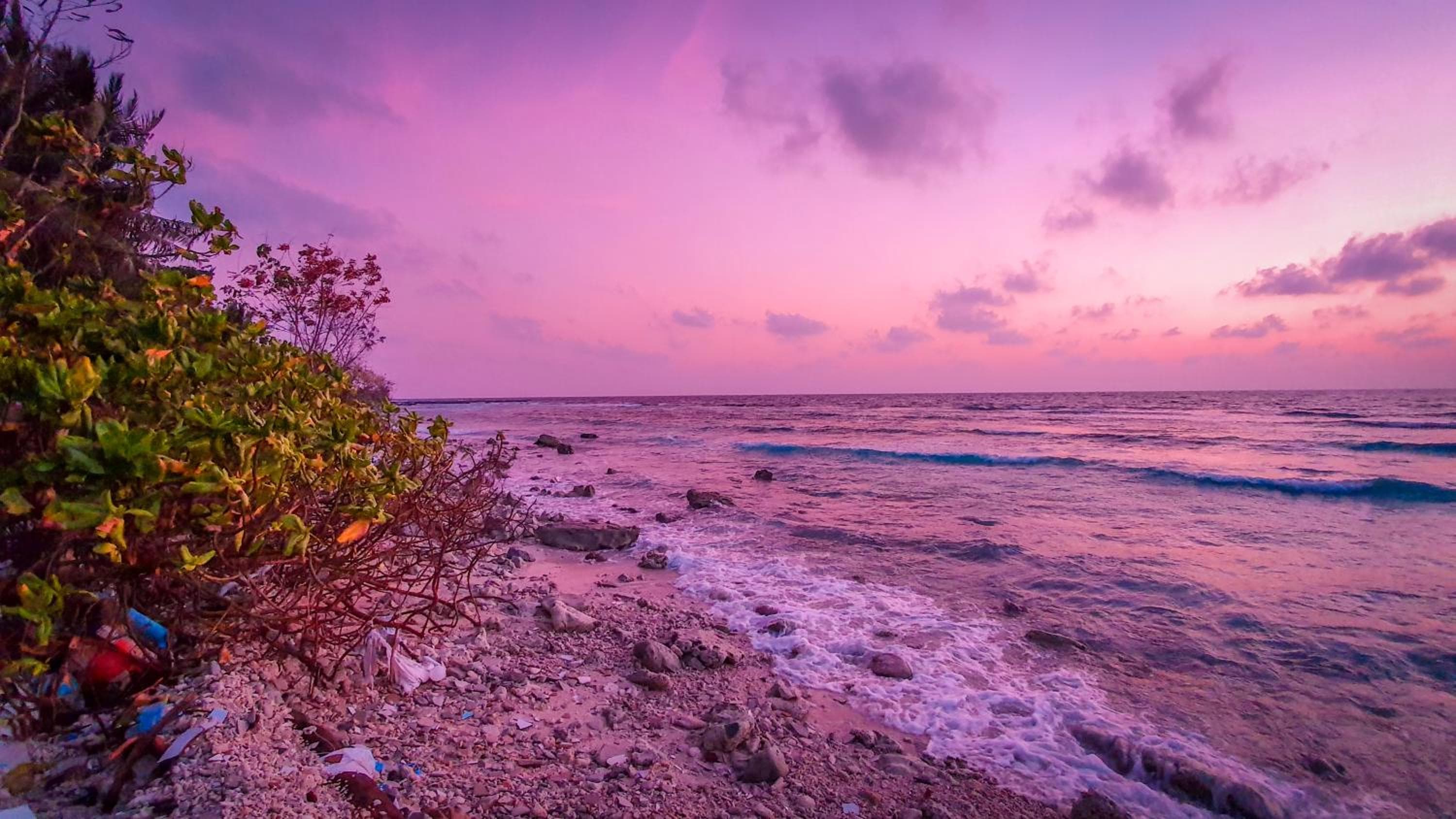 New Breeze Thoddoo Inn - View 94