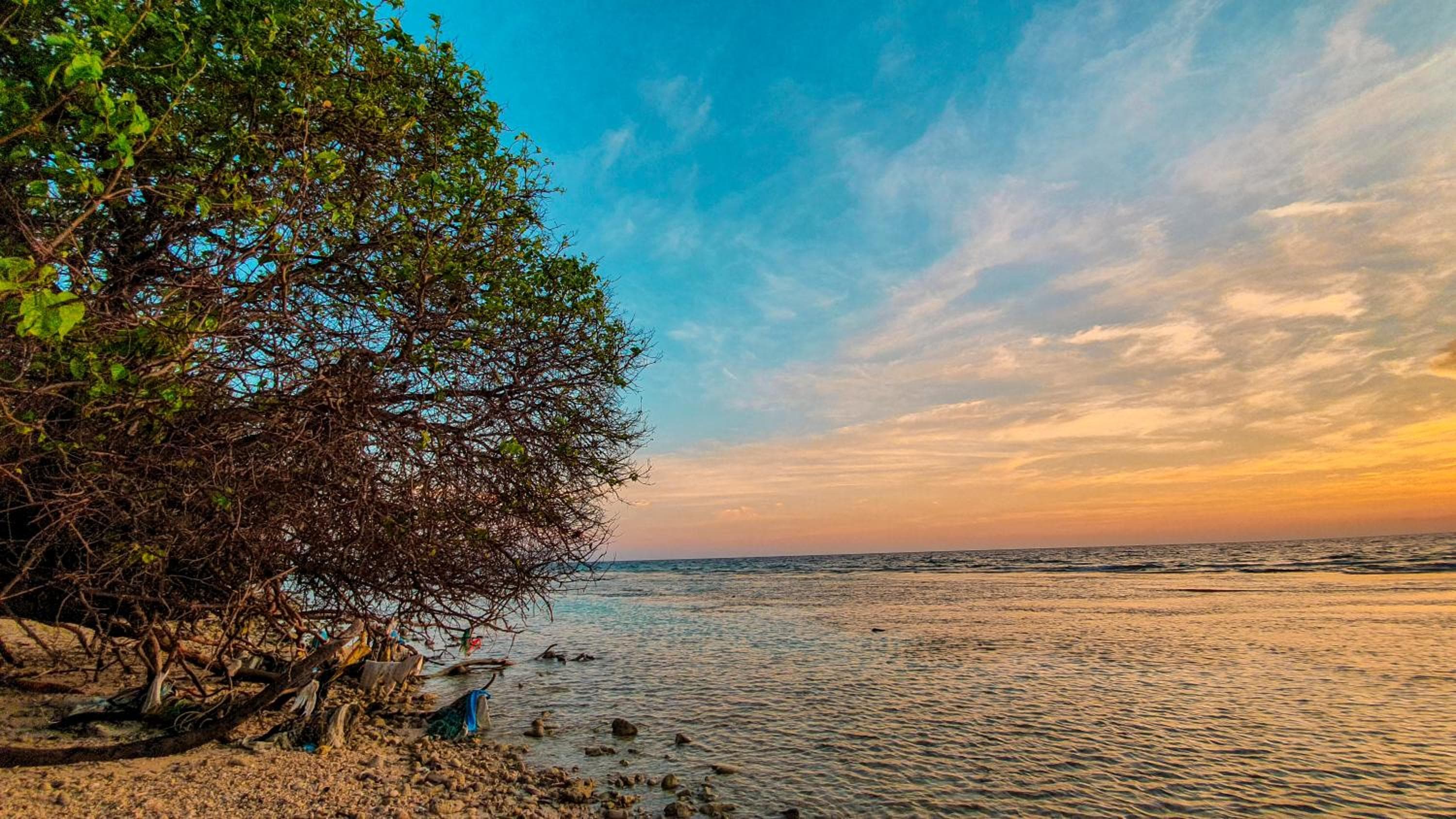 New Breeze Thoddoo Inn - View 92