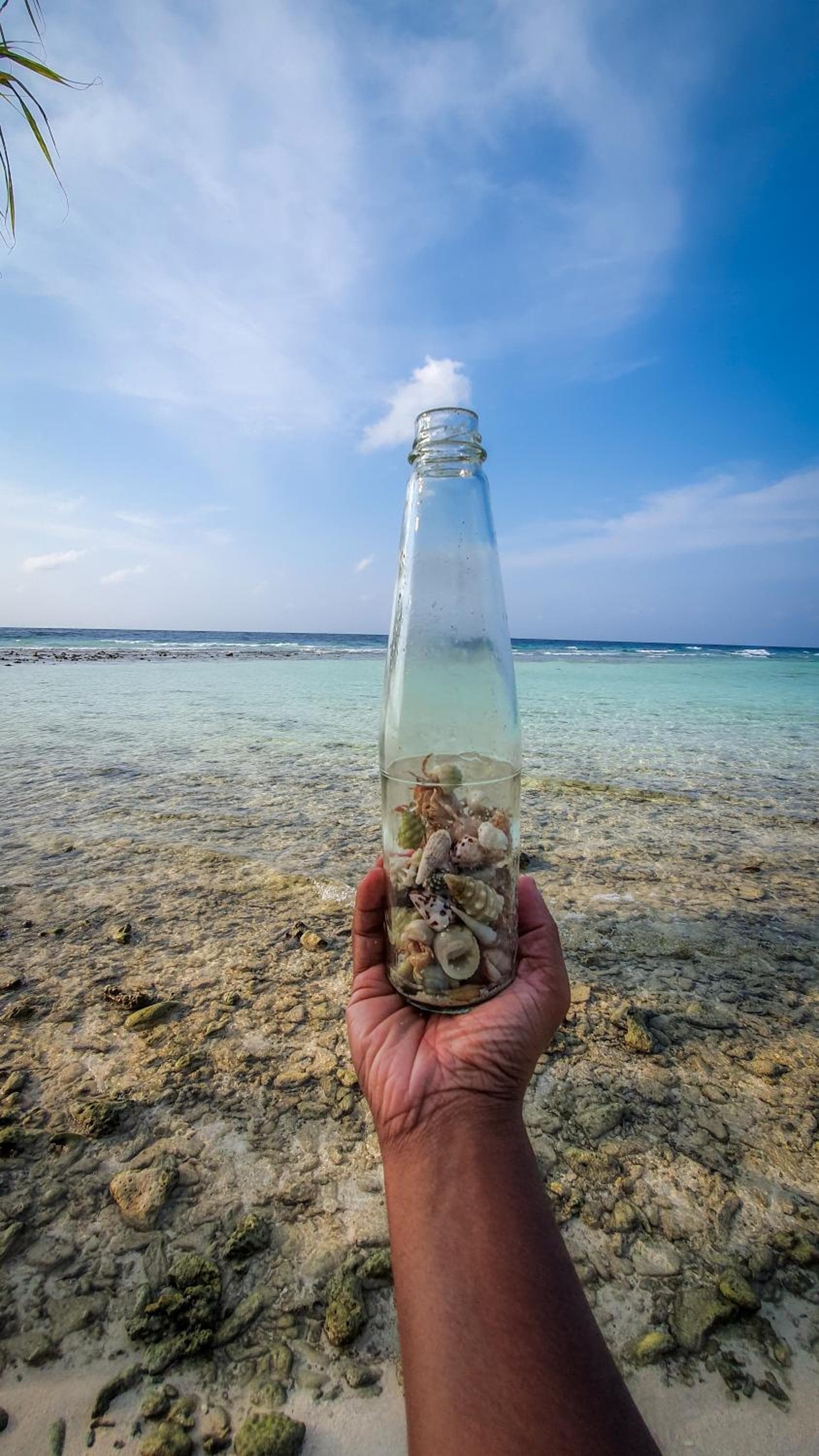 New Breeze Thoddoo Inn - View 93