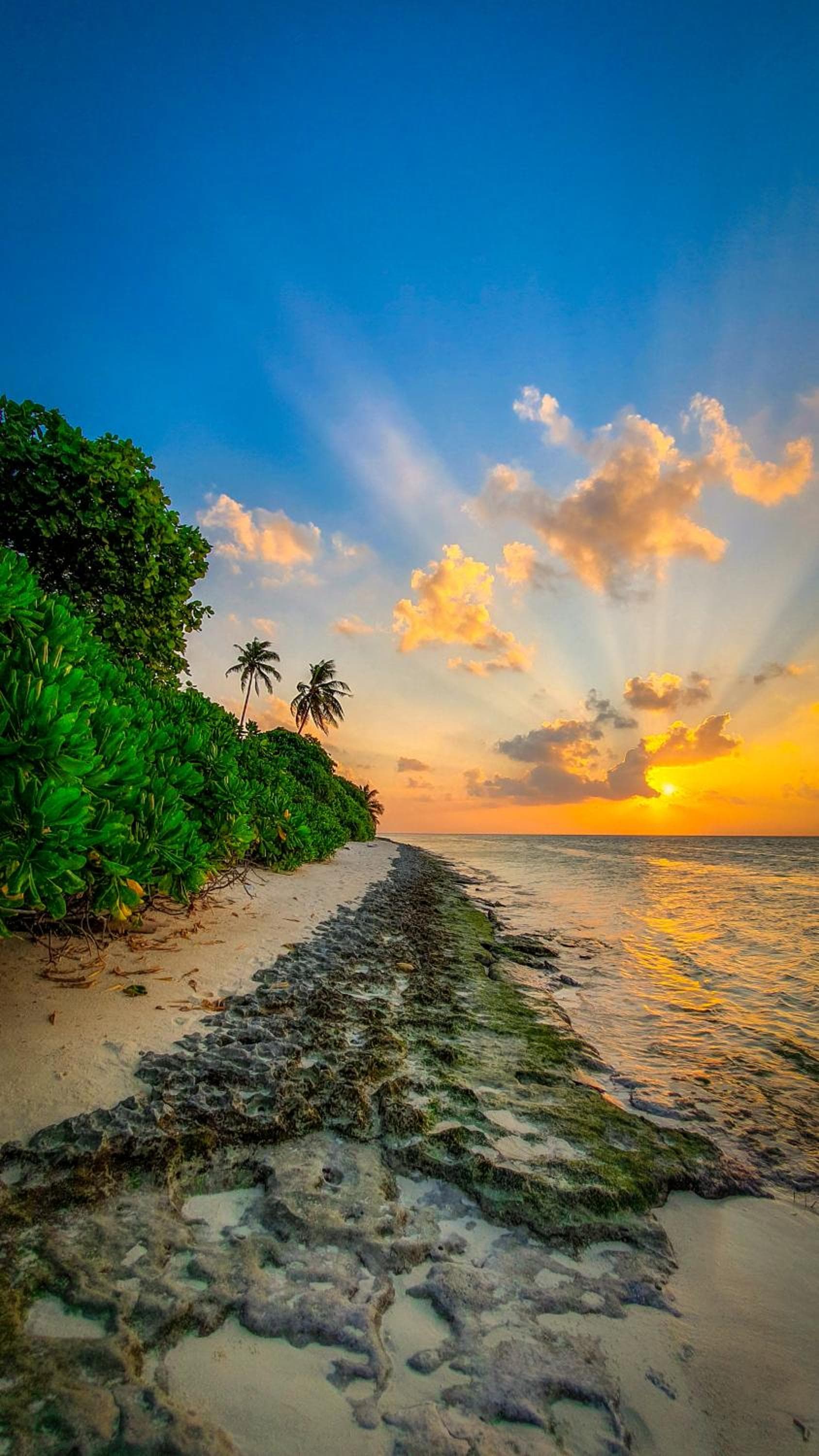 New Breeze Thoddoo Inn - View 98