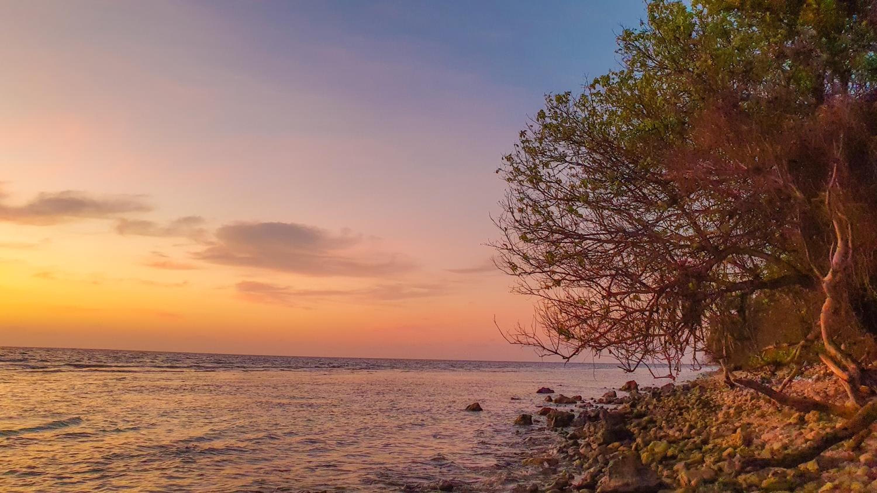 New Breeze Thoddoo Inn - View 95