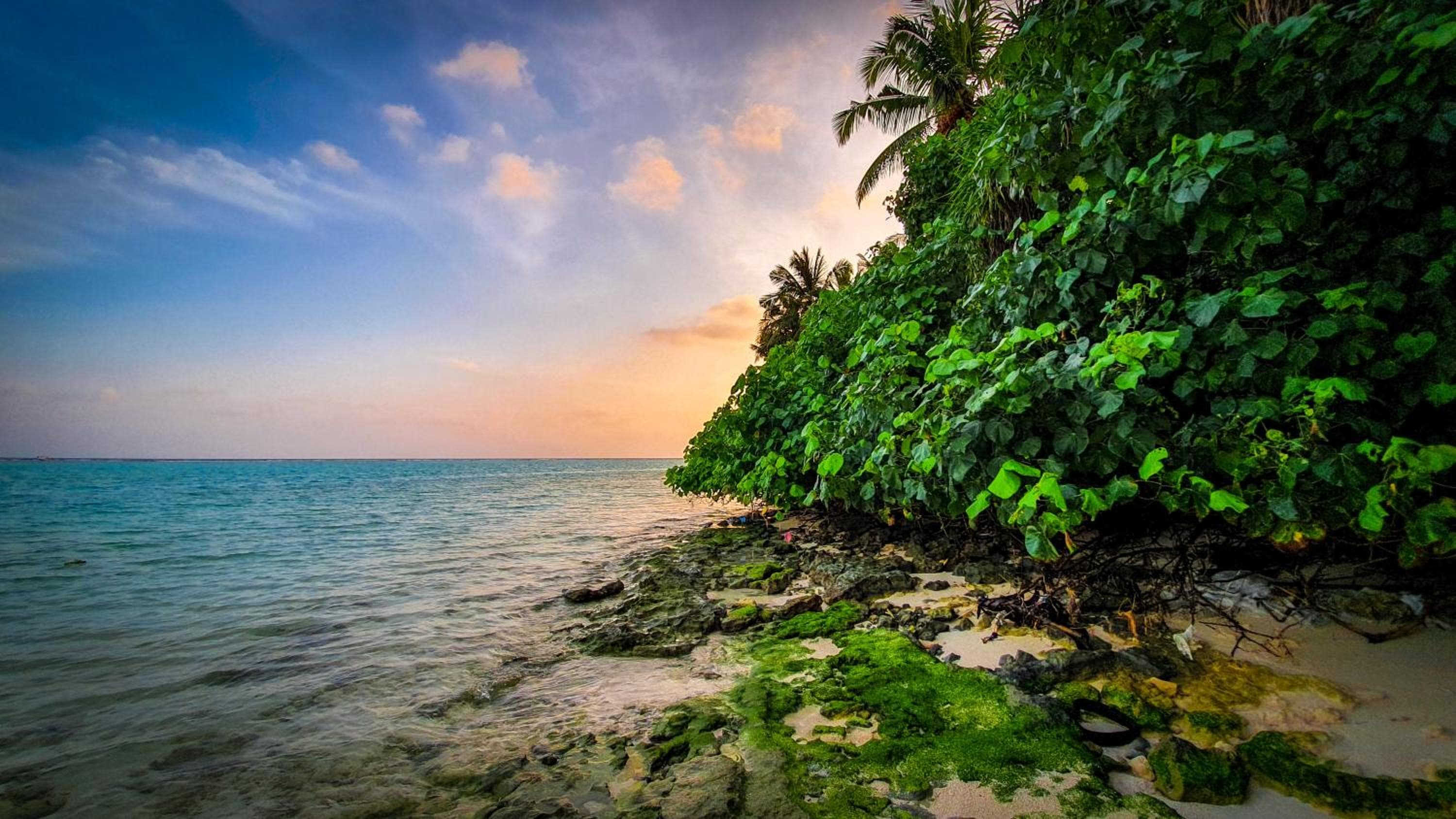 New Breeze Thoddoo Inn - View 99