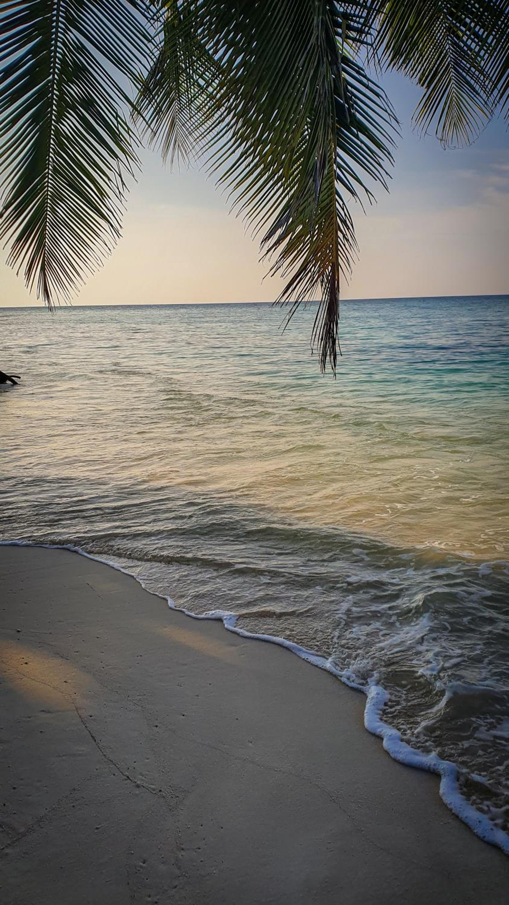 New Breeze Thoddoo Inn - View 102