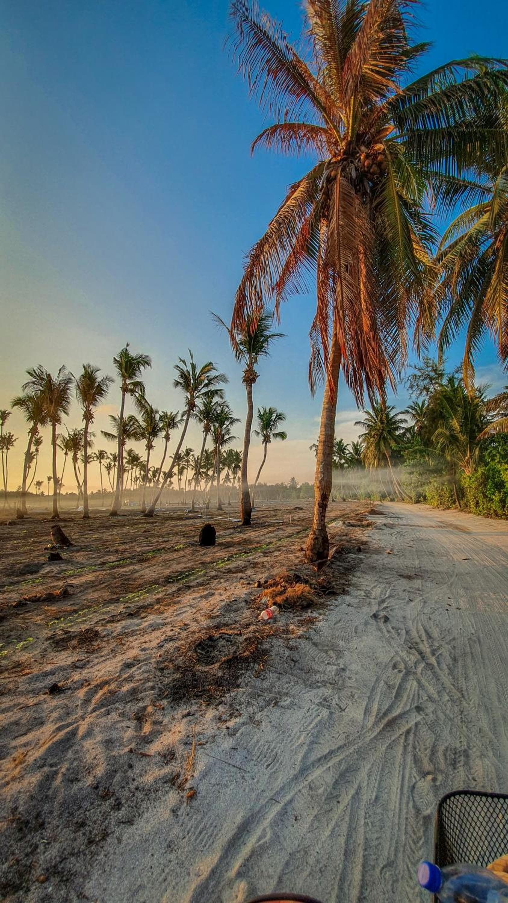 New Breeze Thoddoo Inn - View 106