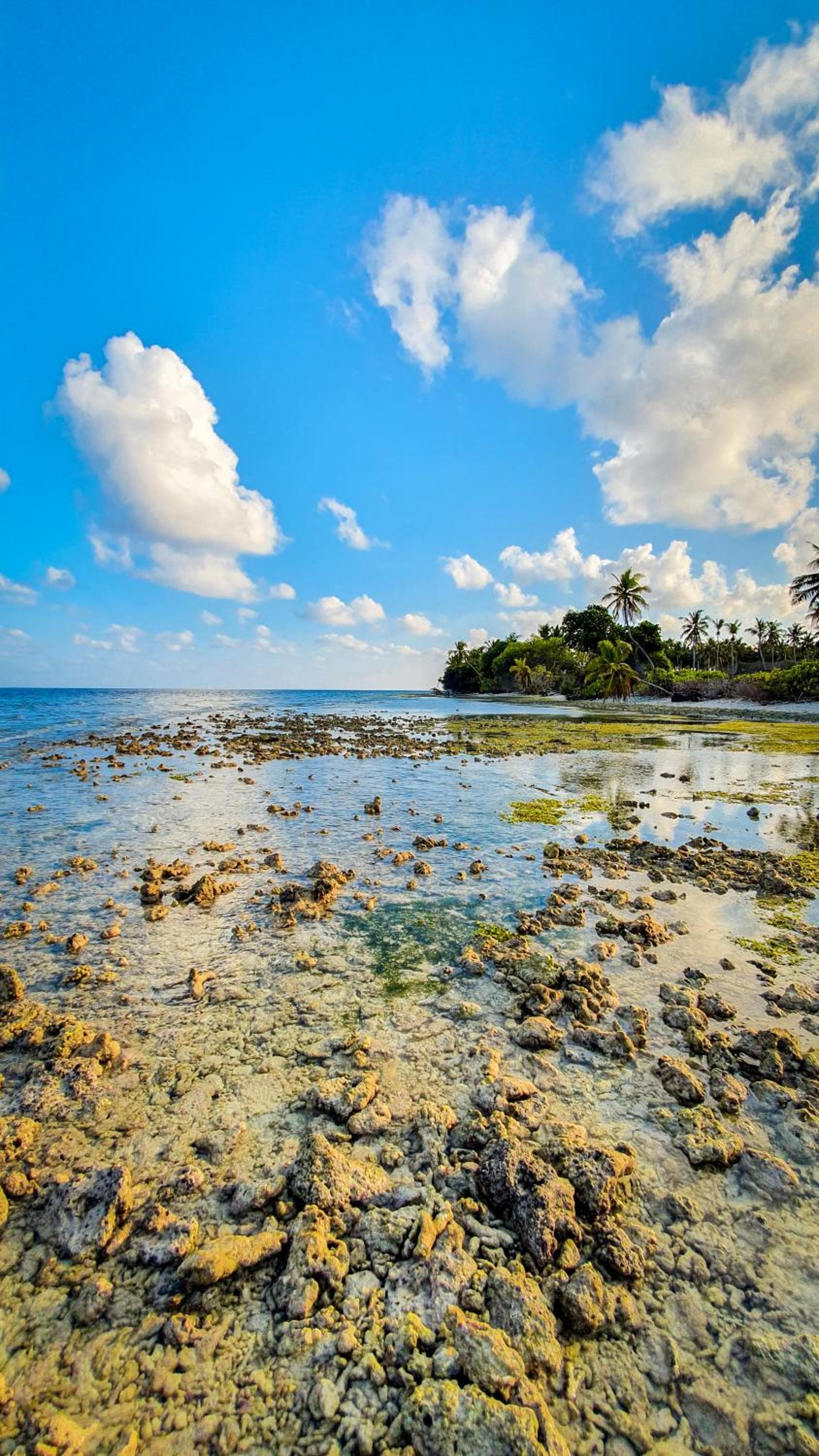 New Breeze Thoddoo Inn - View 105