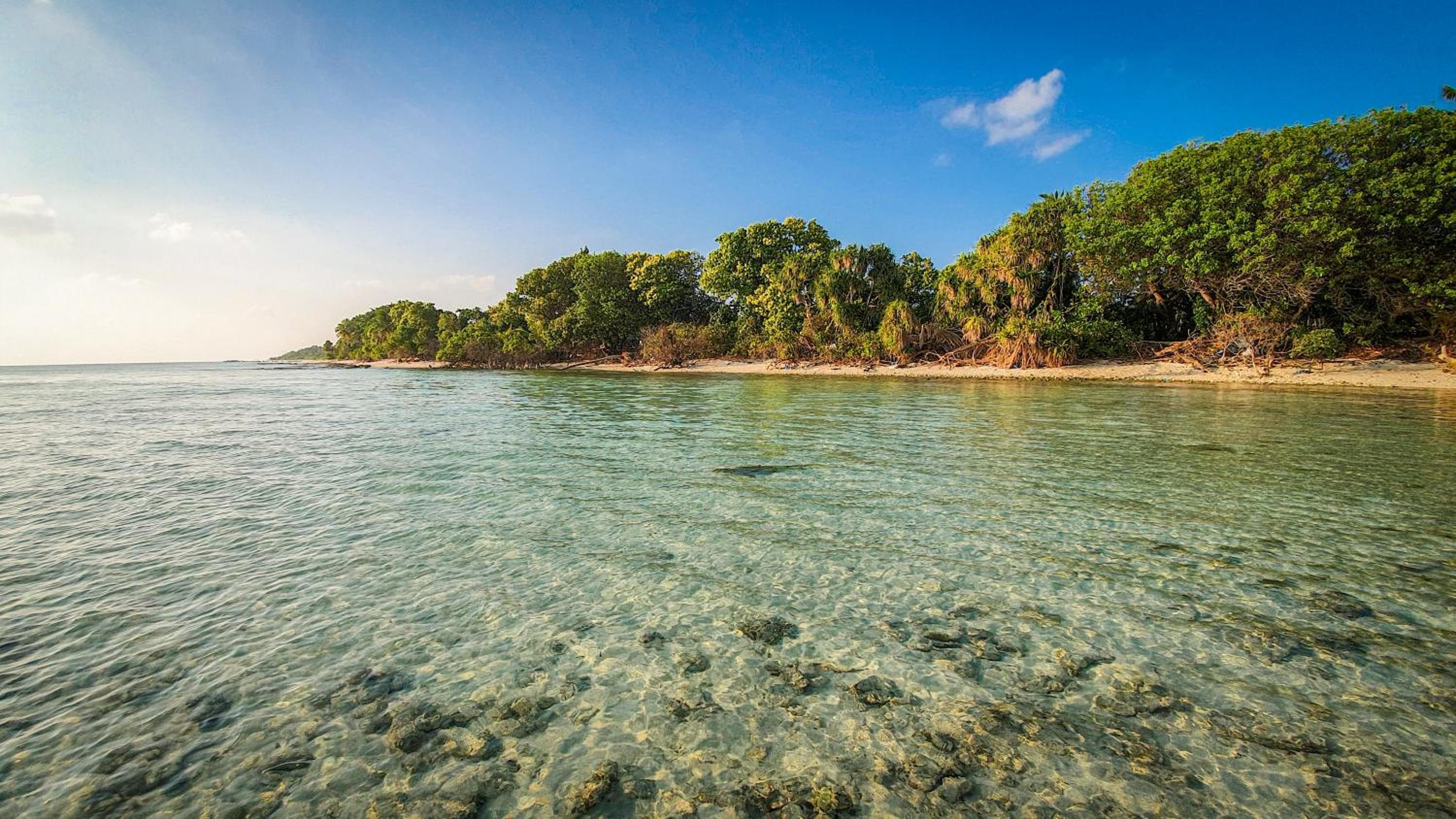 New Breeze Thoddoo Inn - View 103