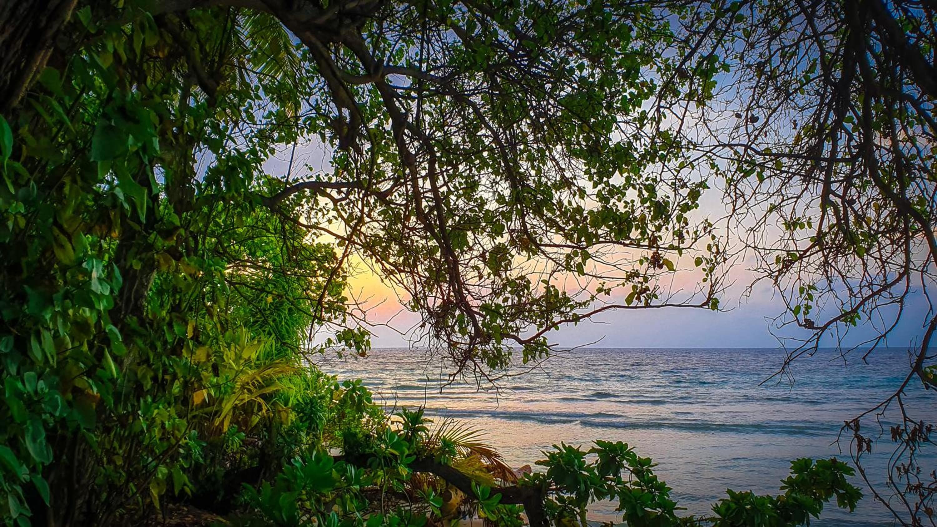 New Breeze Thoddoo Inn - View 109