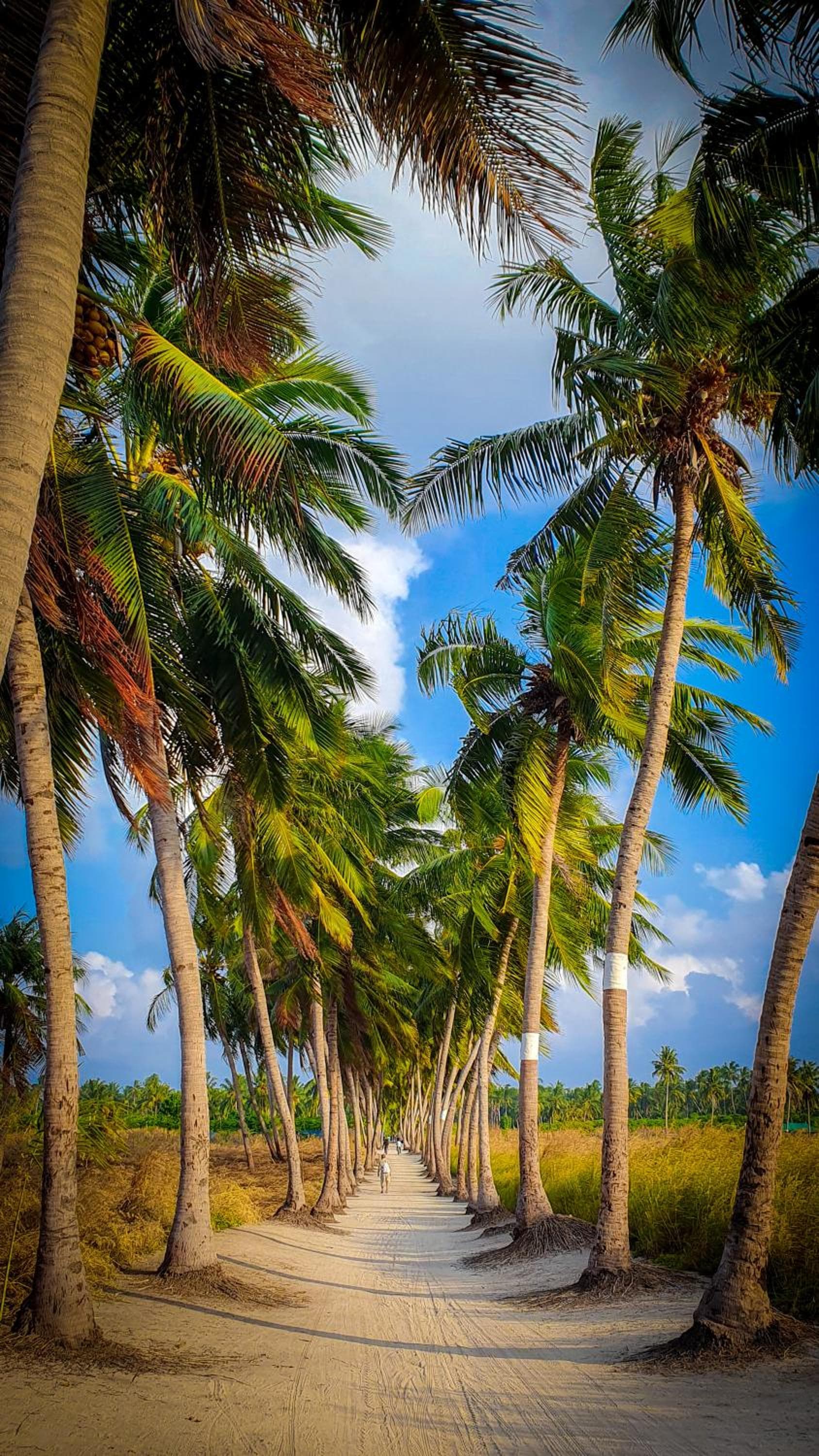 New Breeze Thoddoo Inn - View 108