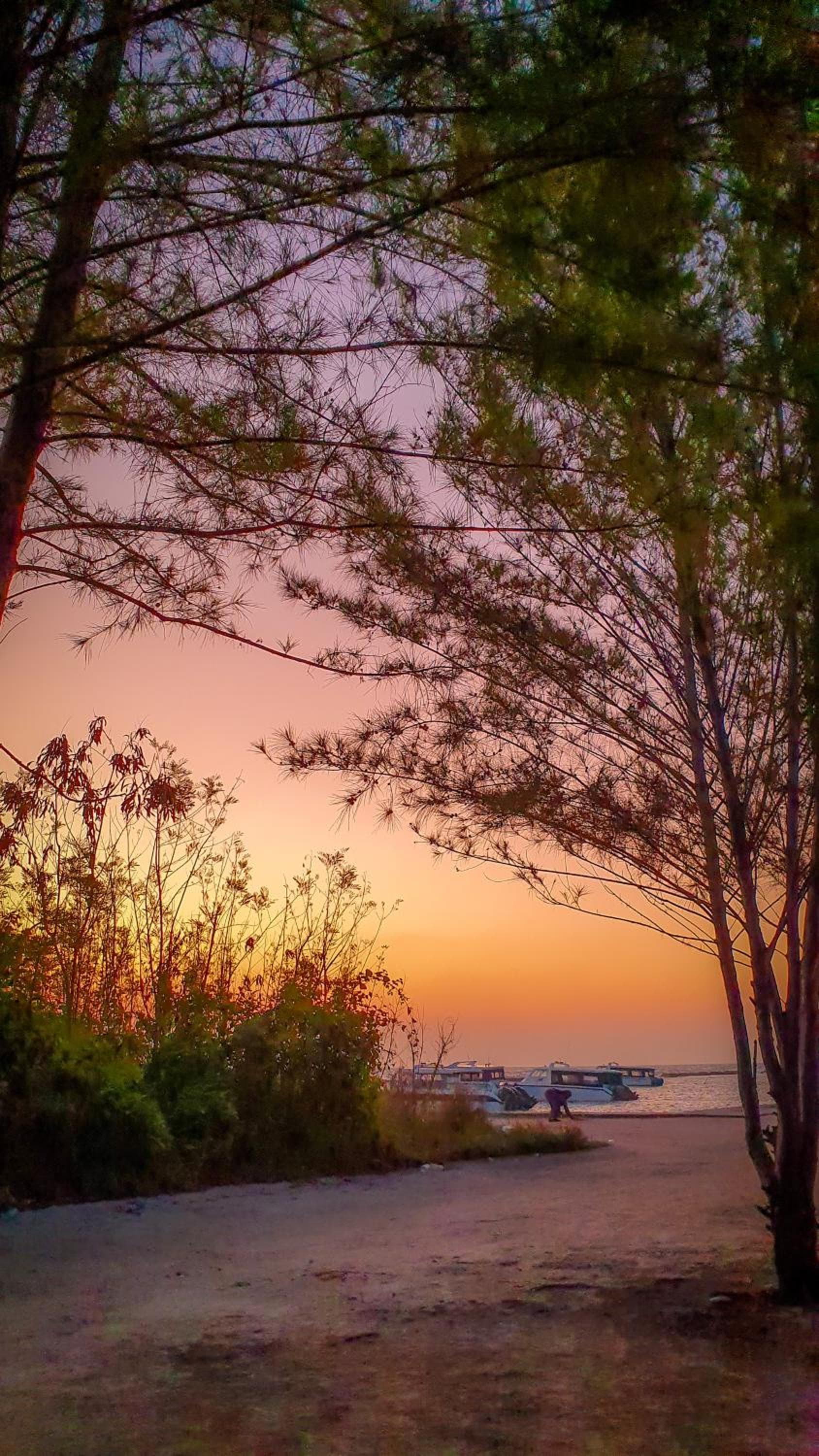 New Breeze Thoddoo Inn - View 107