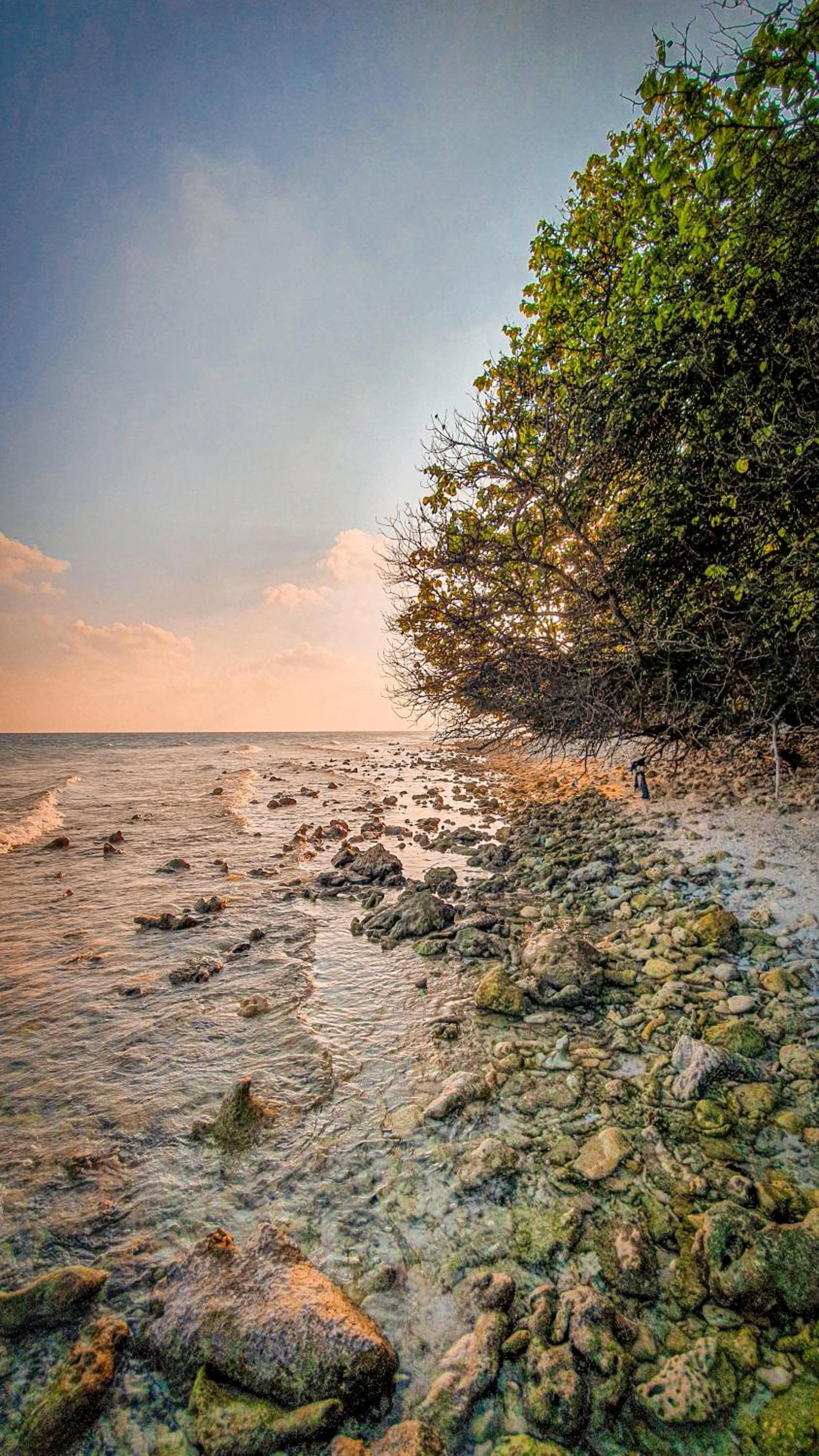 New Breeze Thoddoo Inn - View 110