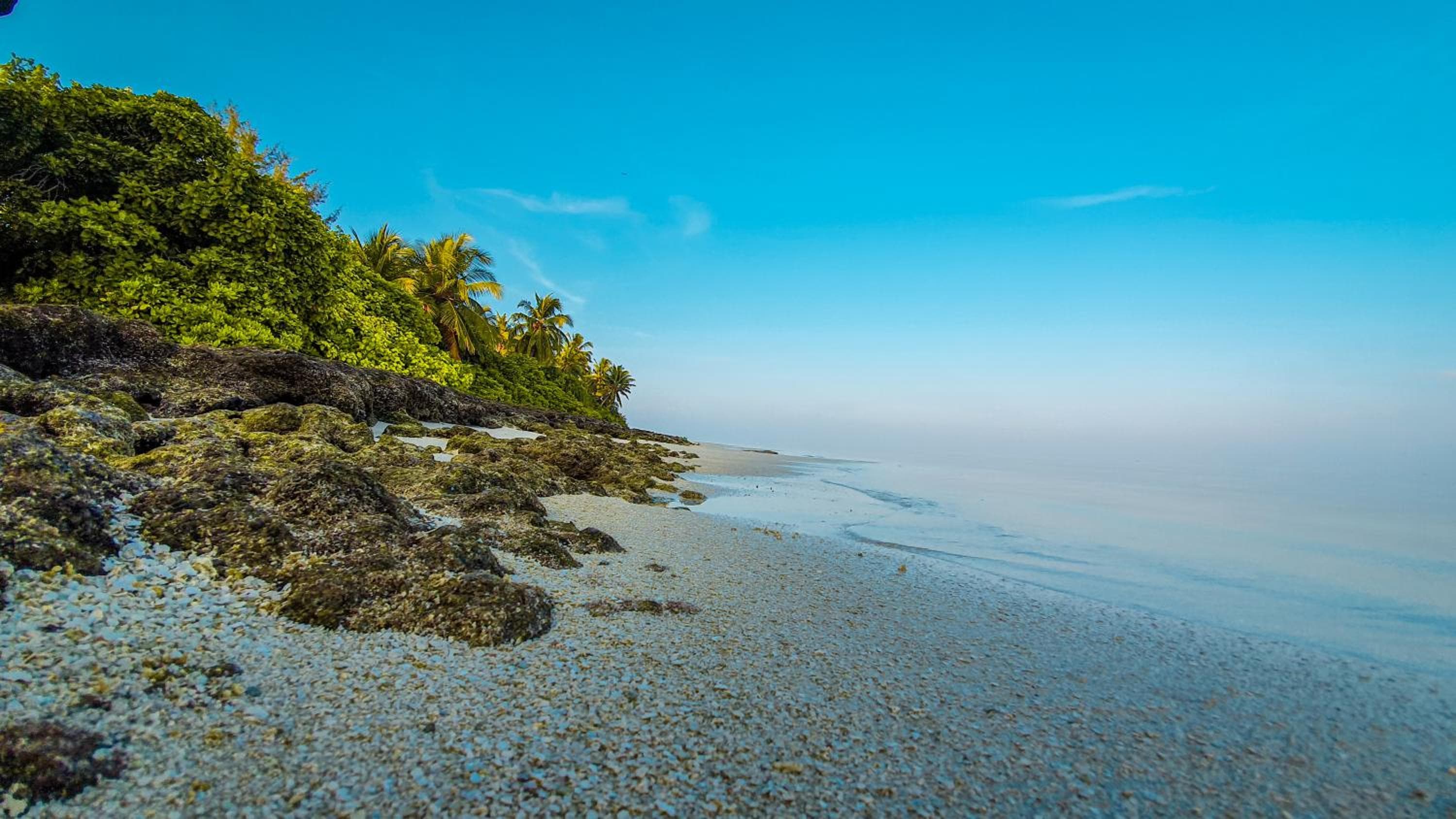 New Breeze Thoddoo Inn - View 112