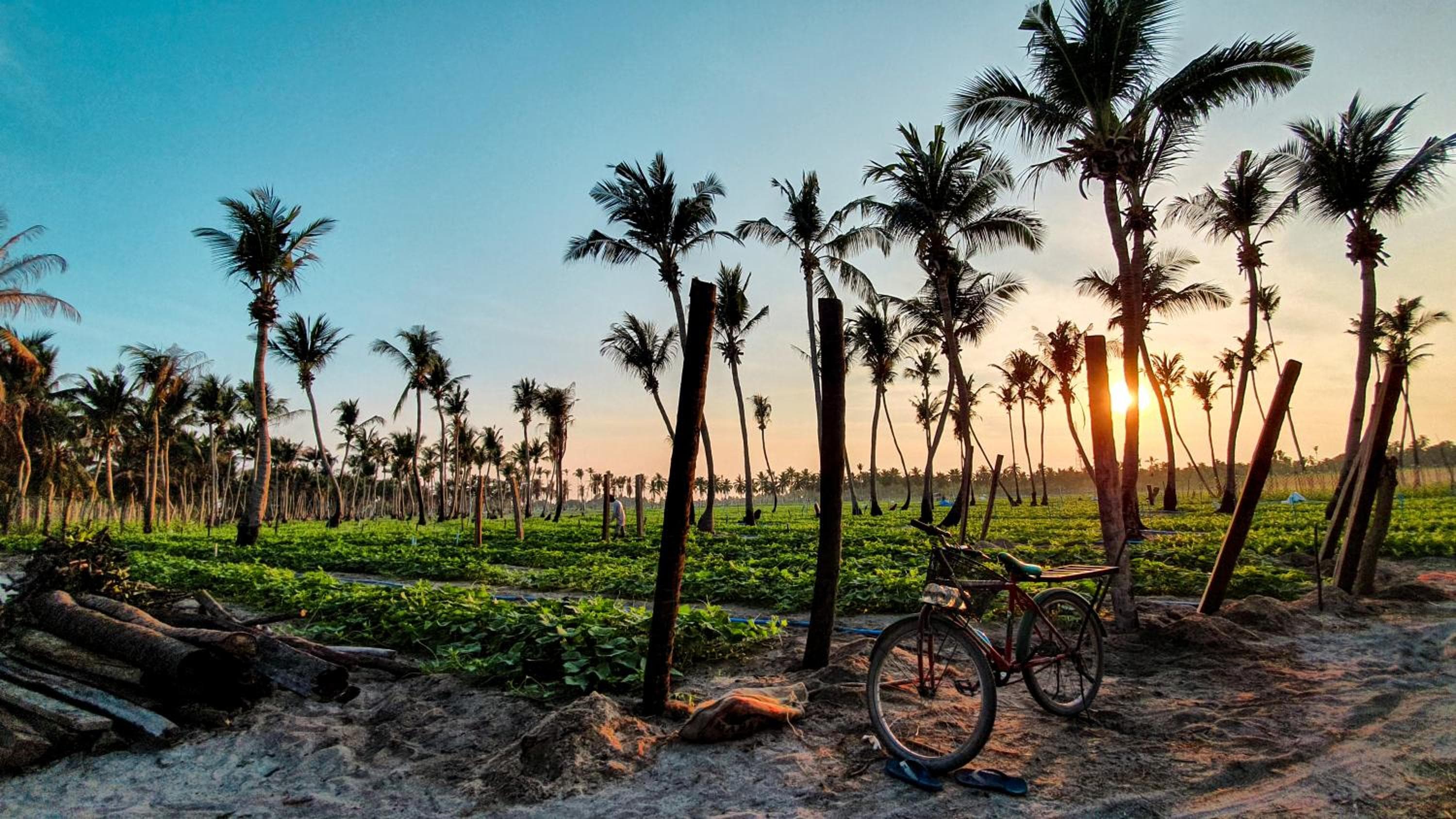 New Breeze Thoddoo Inn - View 116