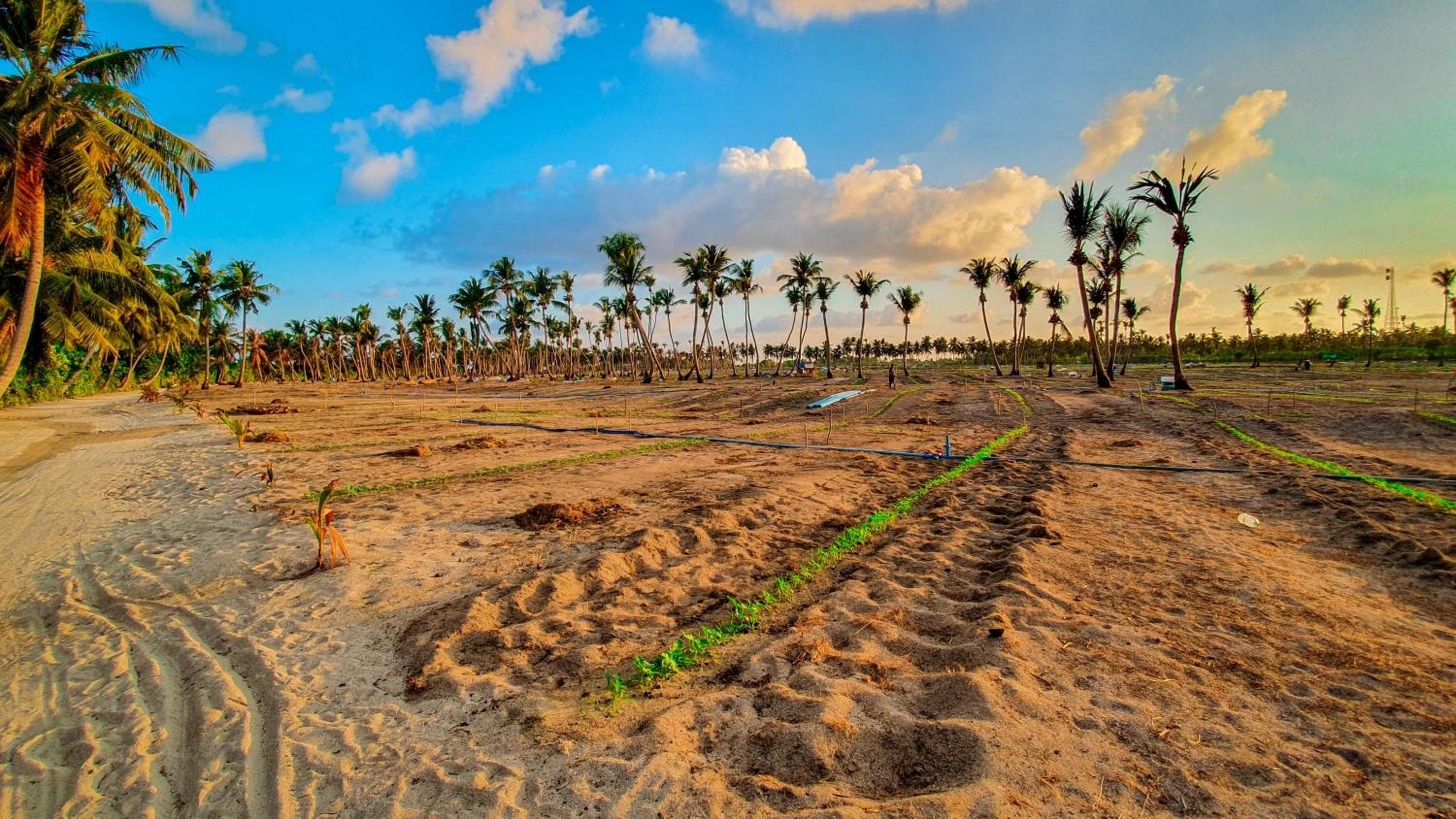 New Breeze Thoddoo Inn - View 121