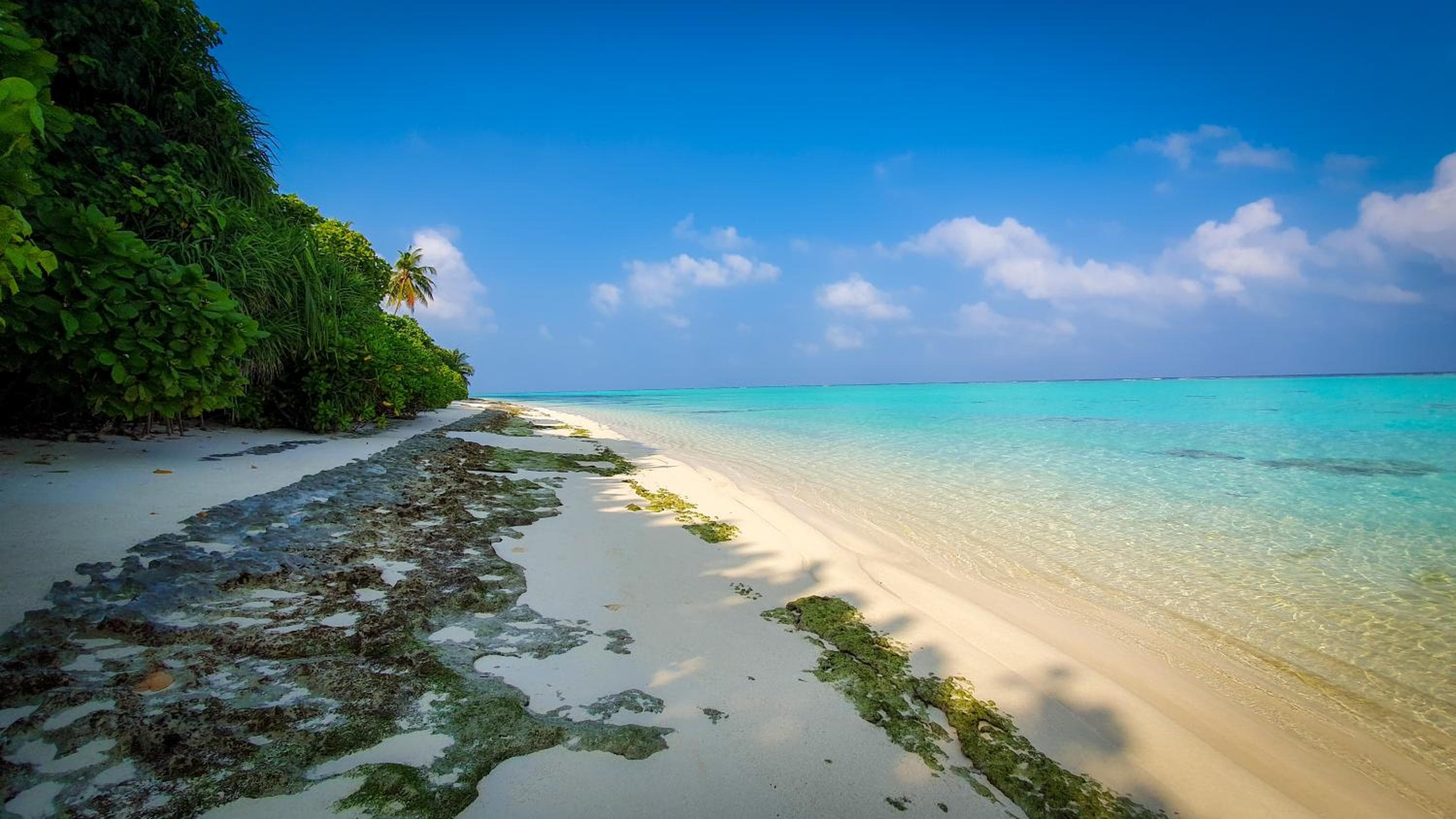 New Breeze Thoddoo Inn - View 122