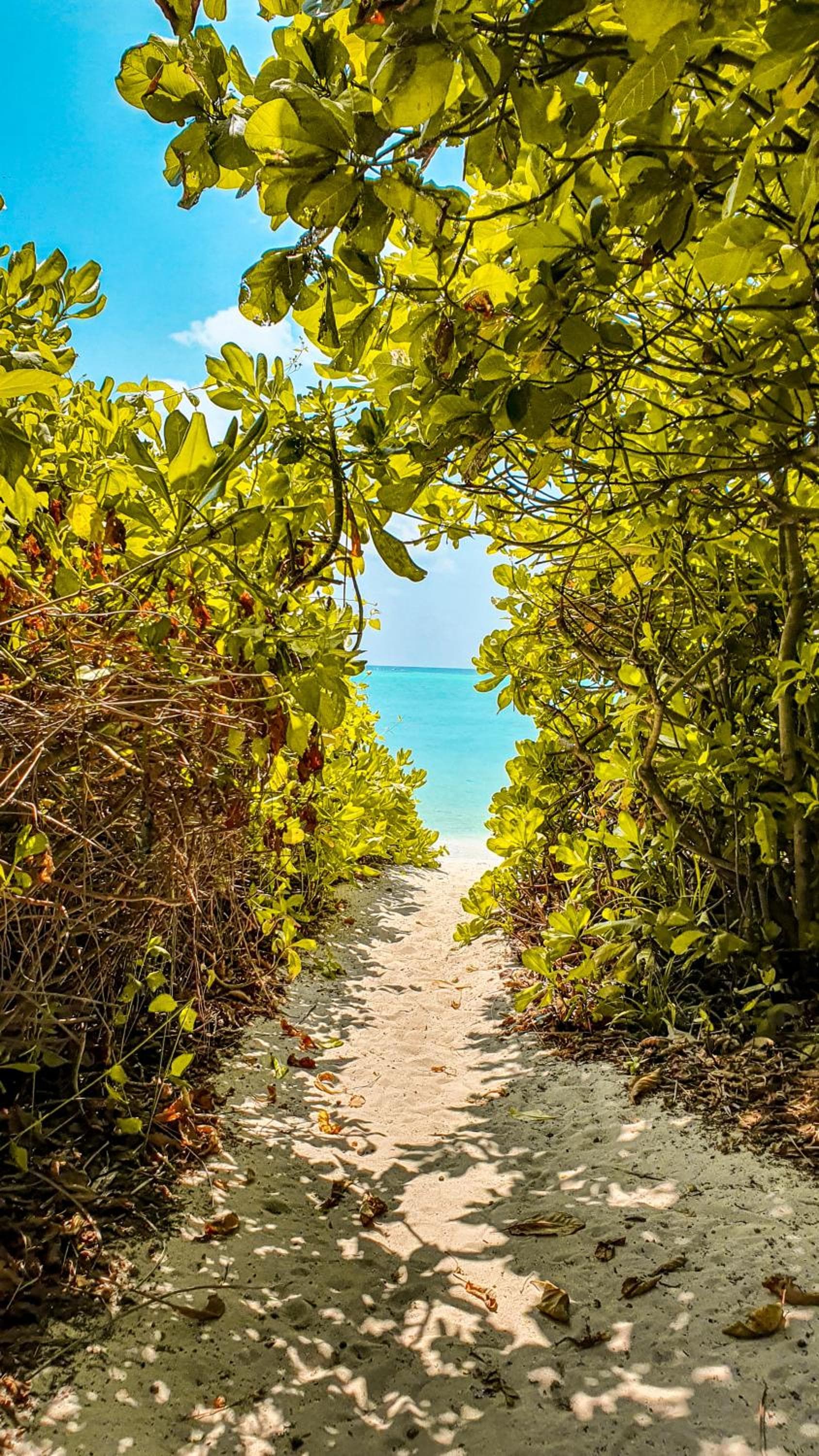 New Breeze Thoddoo Inn - View 123