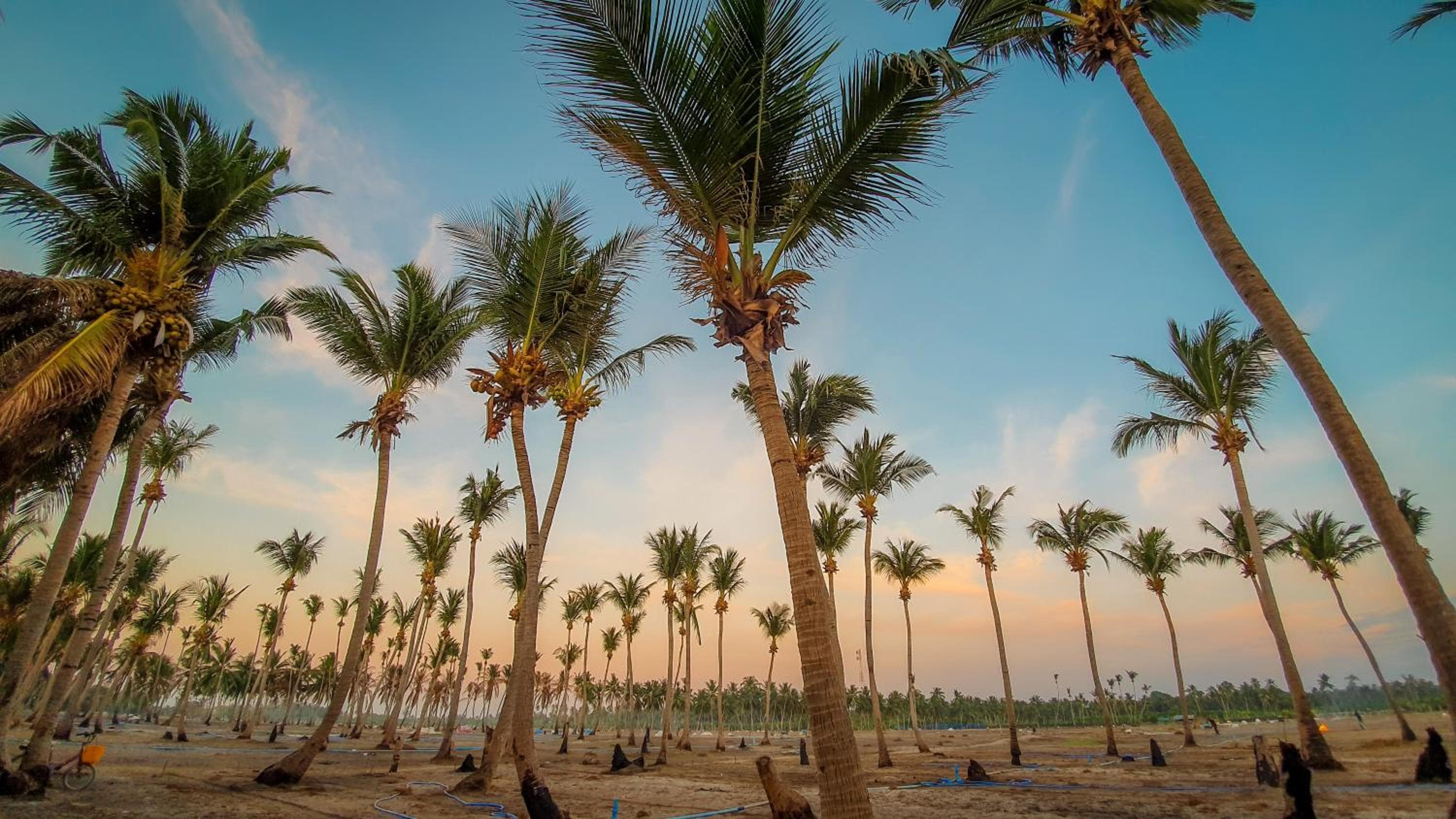 New Breeze Thoddoo Inn - View 125