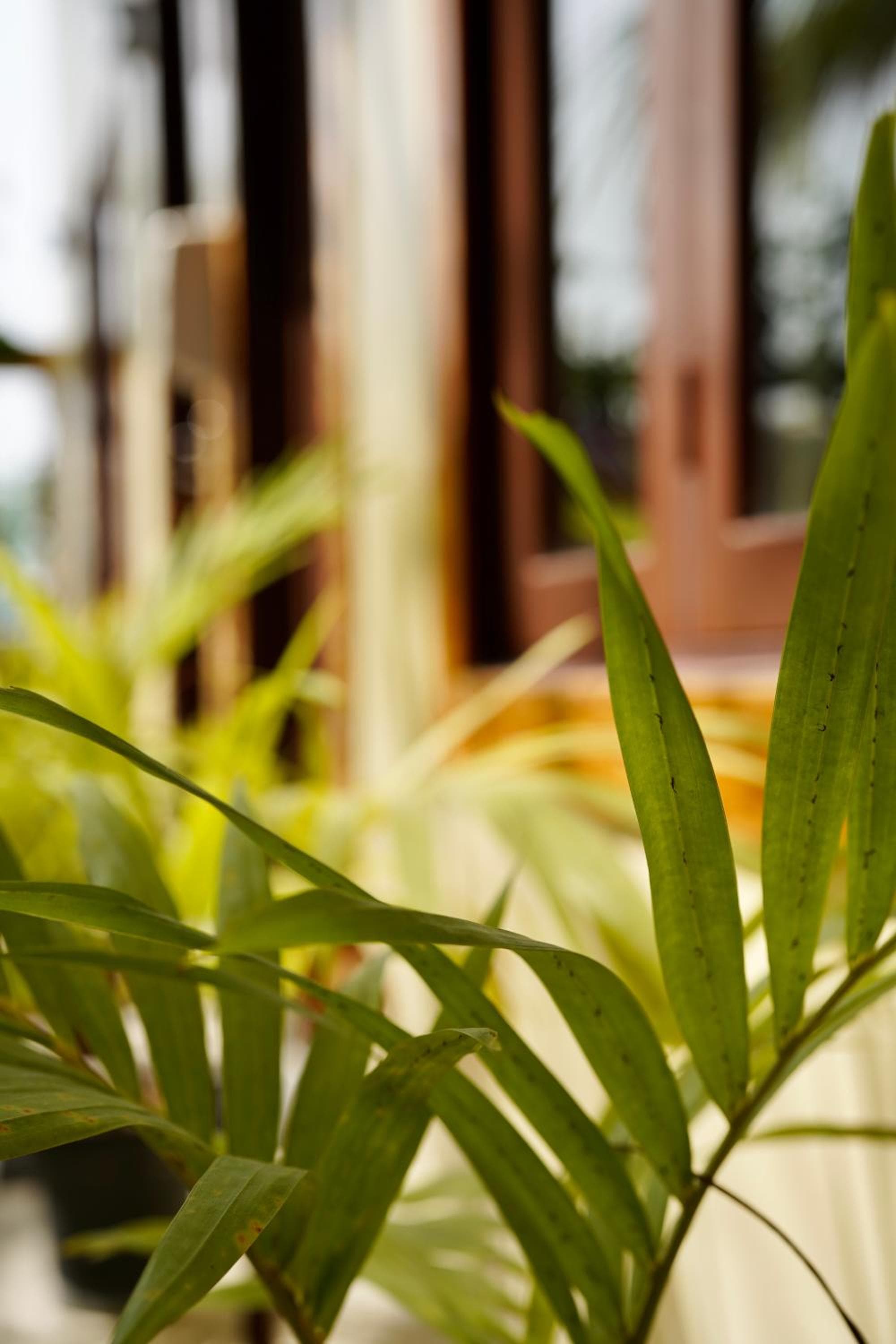 Veli Beach Inn - View 141