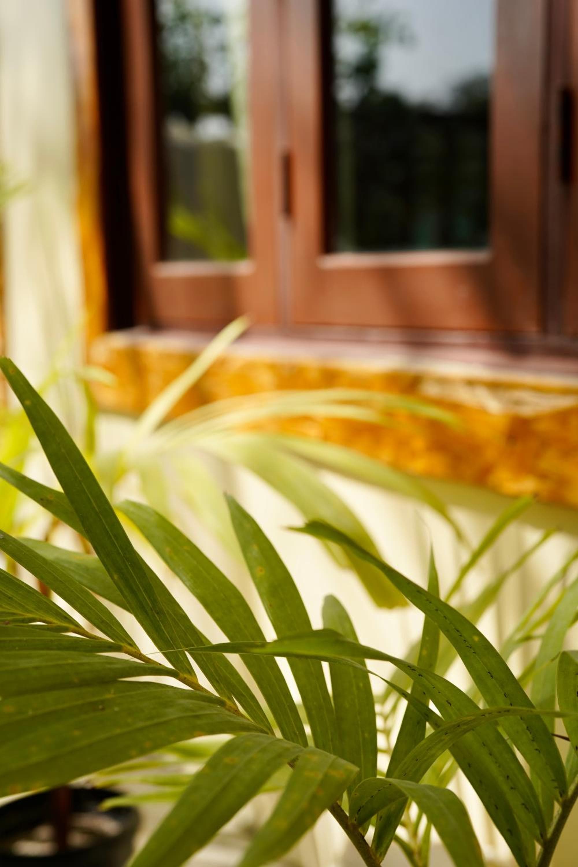 Veli Beach Inn - View 155