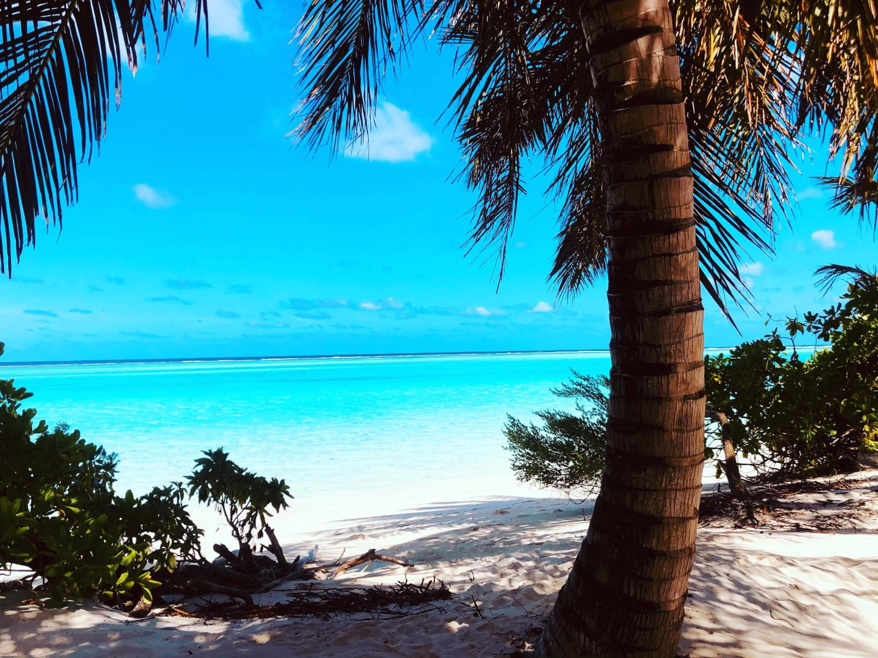 Dacha Thoddoo - View 2