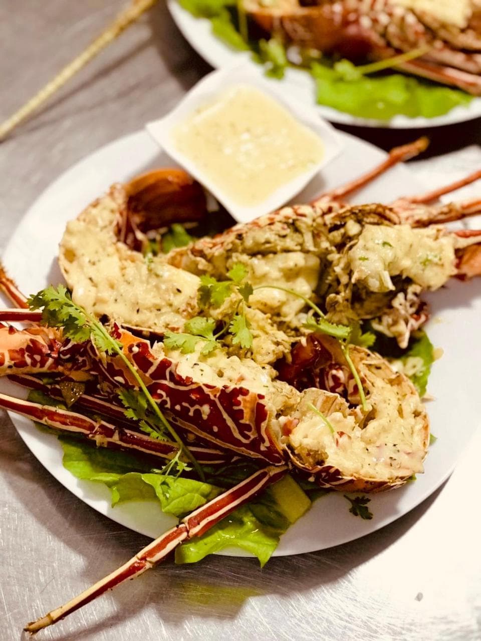 Dacha Thoddoo - View 25