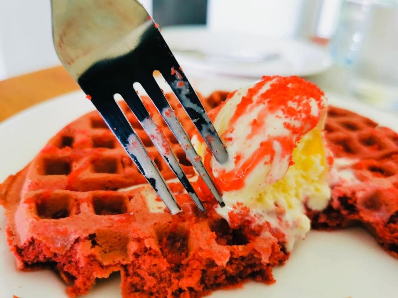 Dacha Thoddoo - View 30