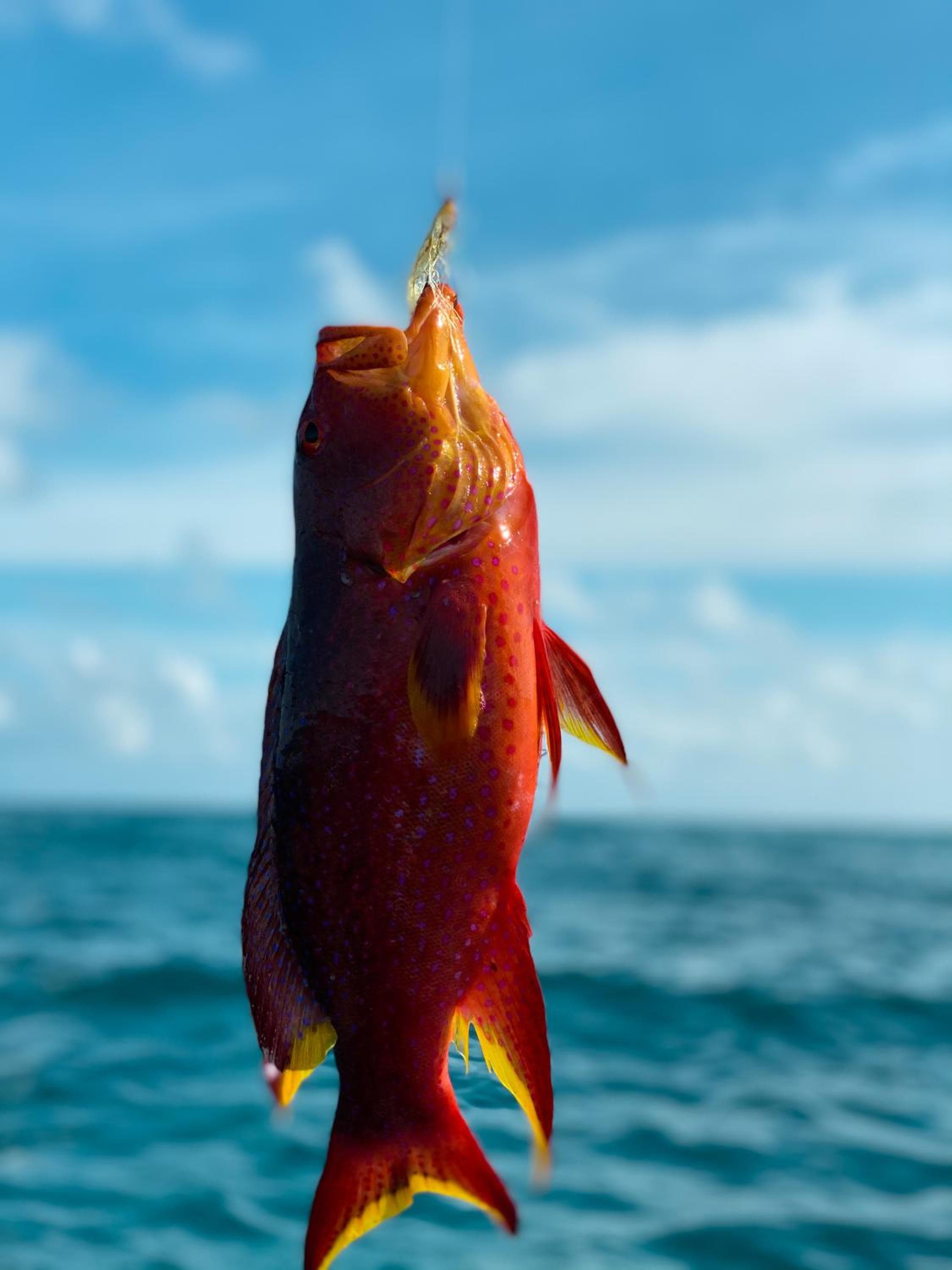 PERLA Dhangethi - View 97