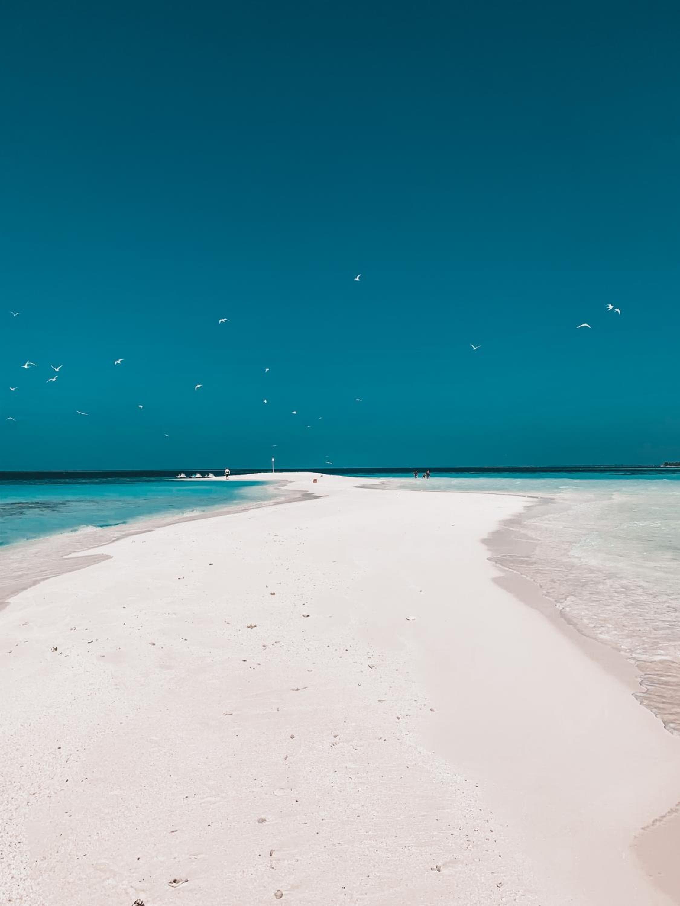 PERLA Dhangethi - View 88